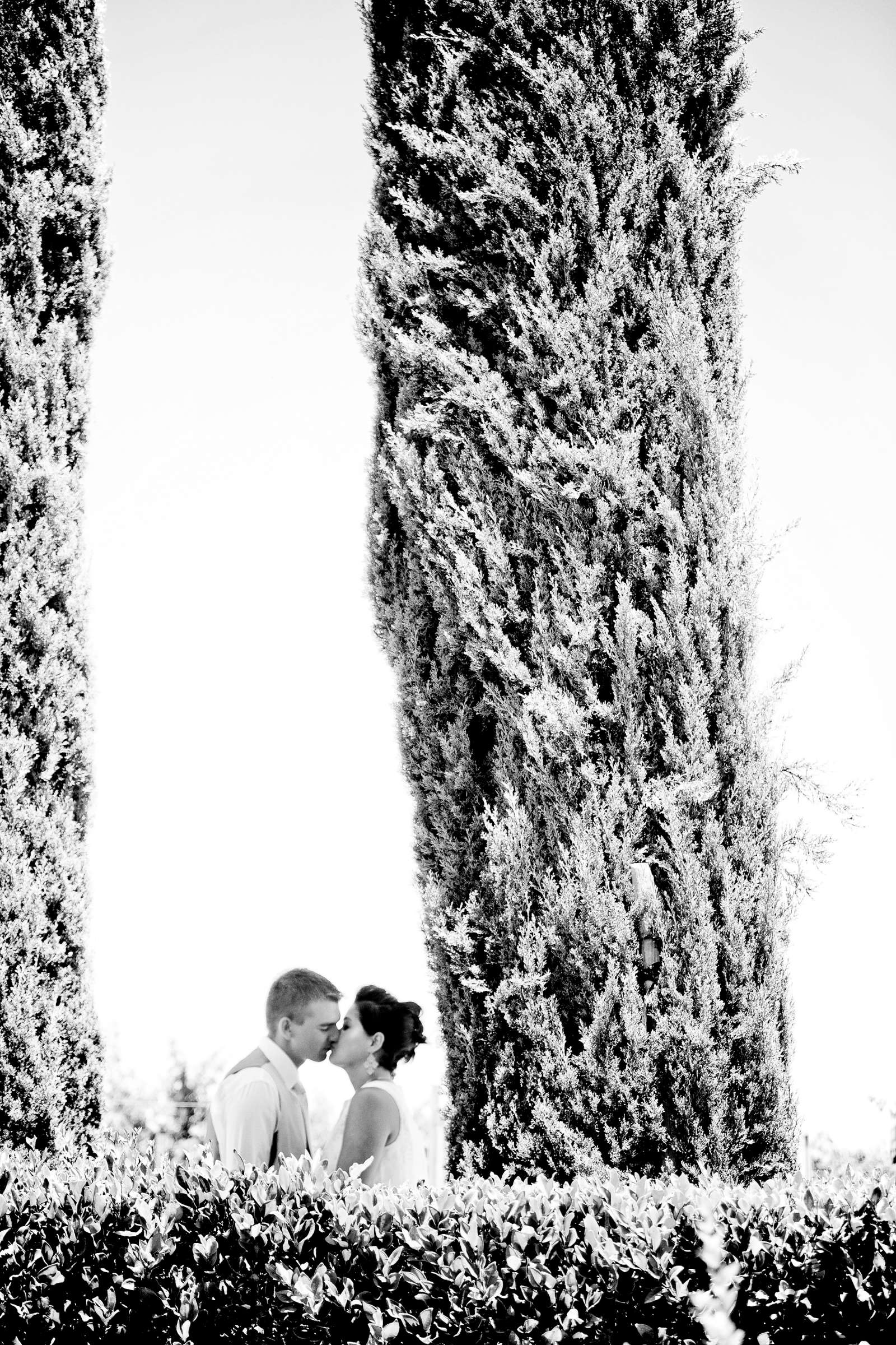 Wedding, Brianna and Cory Wedding Photo #320471 by True Photography