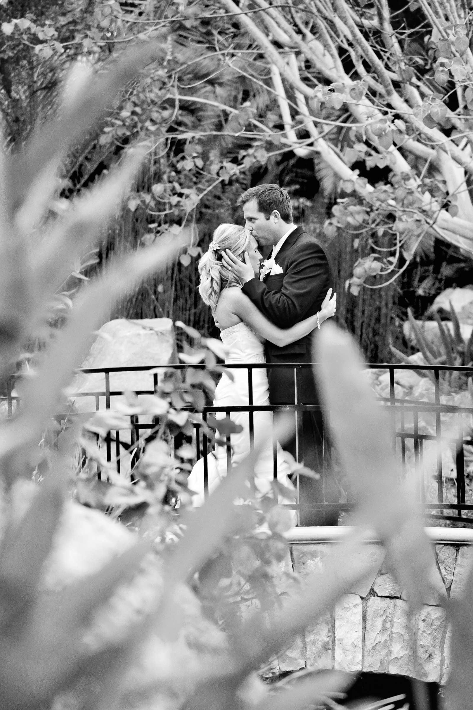 Grand Tradition Estate Wedding, Breanna and Ryan Wedding Photo #320923 by True Photography