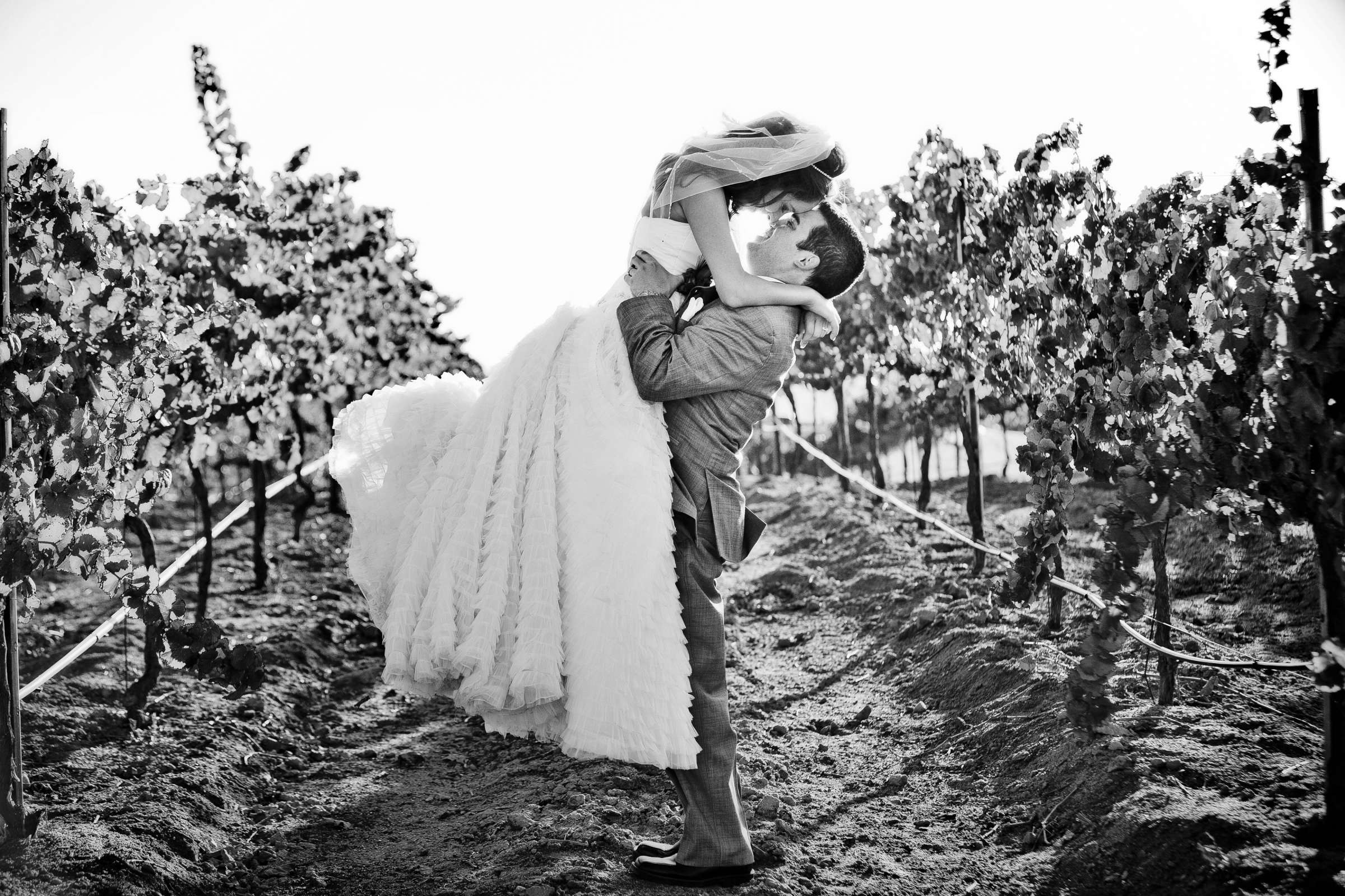 Mount Palomar Winery Wedding, Brandi and Jason Wedding Photo #321608 by True Photography