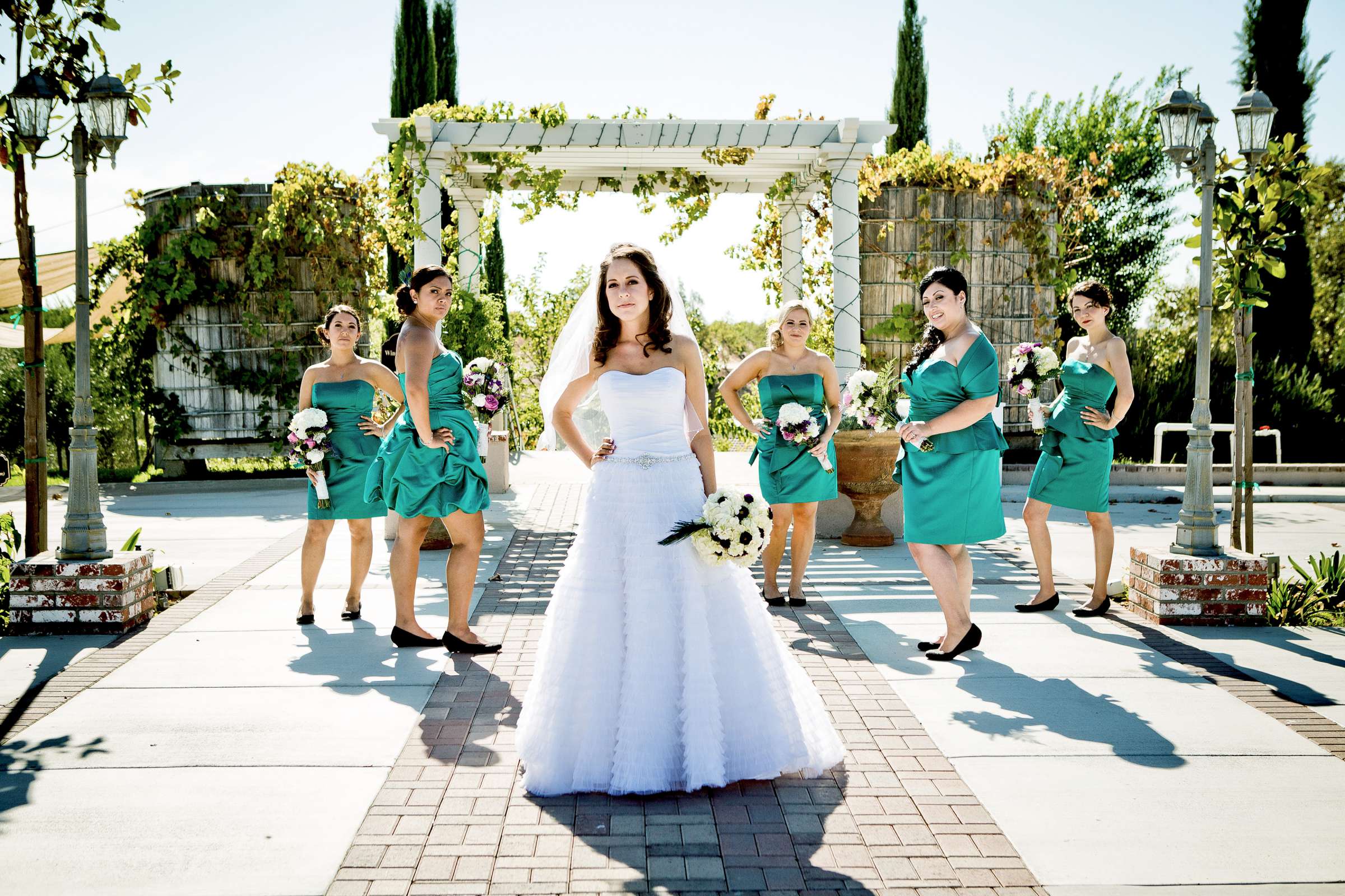 Mount Palomar Winery Wedding, Brandi and Jason Wedding Photo #321631 by True Photography