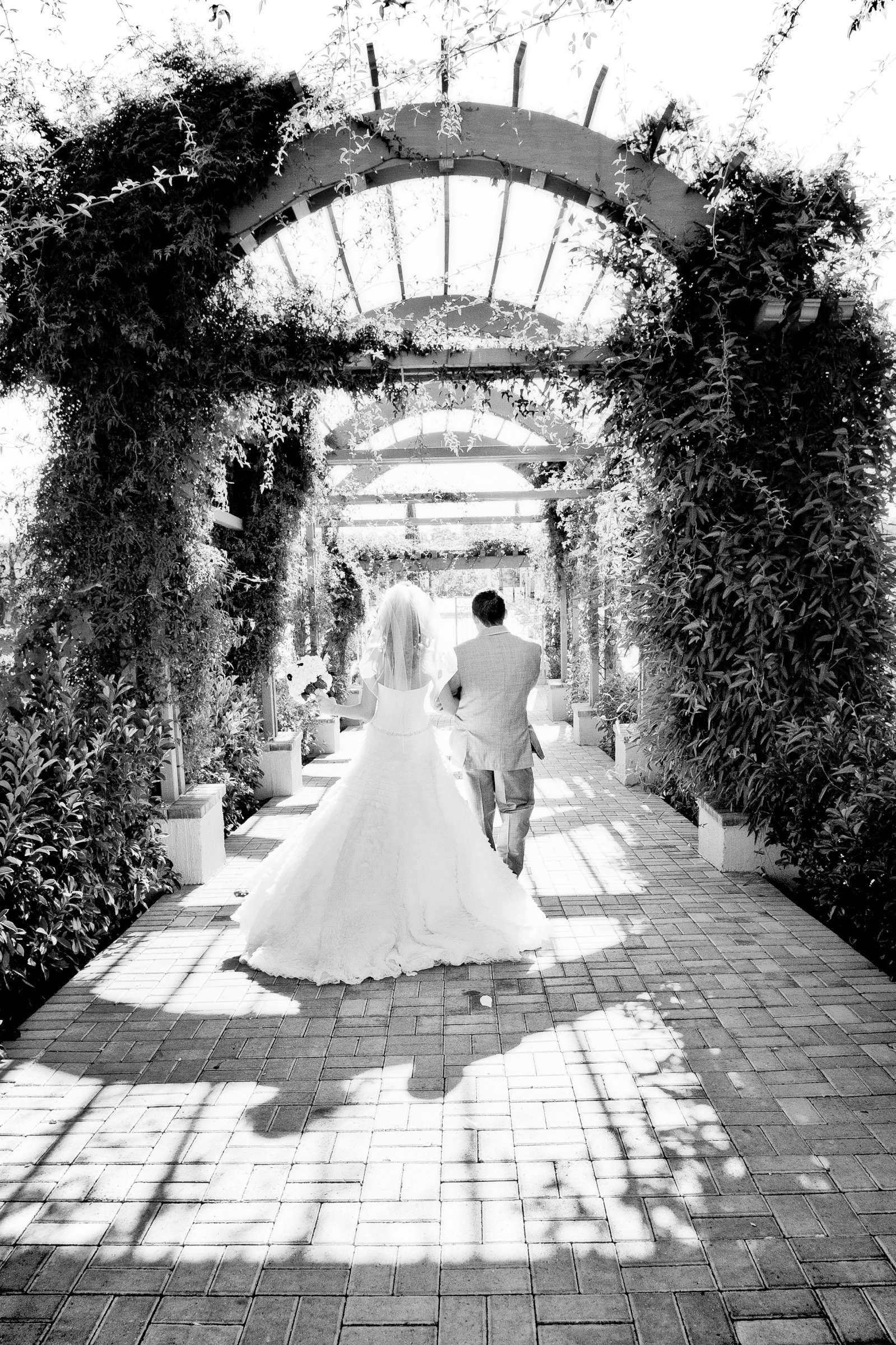 Mount Palomar Winery Wedding, Brandi and Jason Wedding Photo #321633 by True Photography