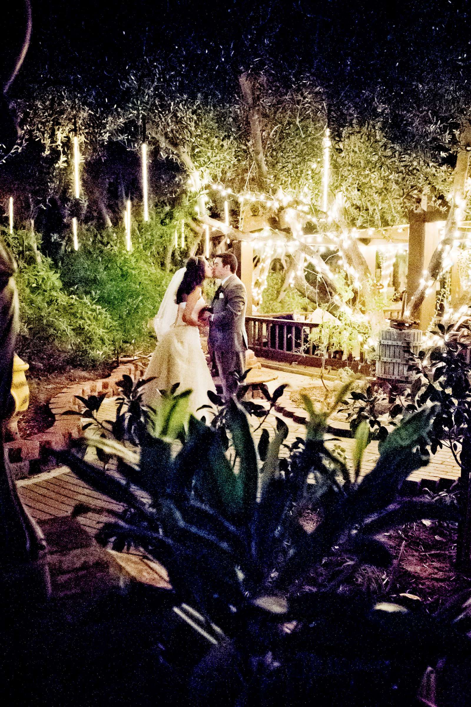 Mount Palomar Winery Wedding, Brandi and Jason Wedding Photo #321638 by True Photography