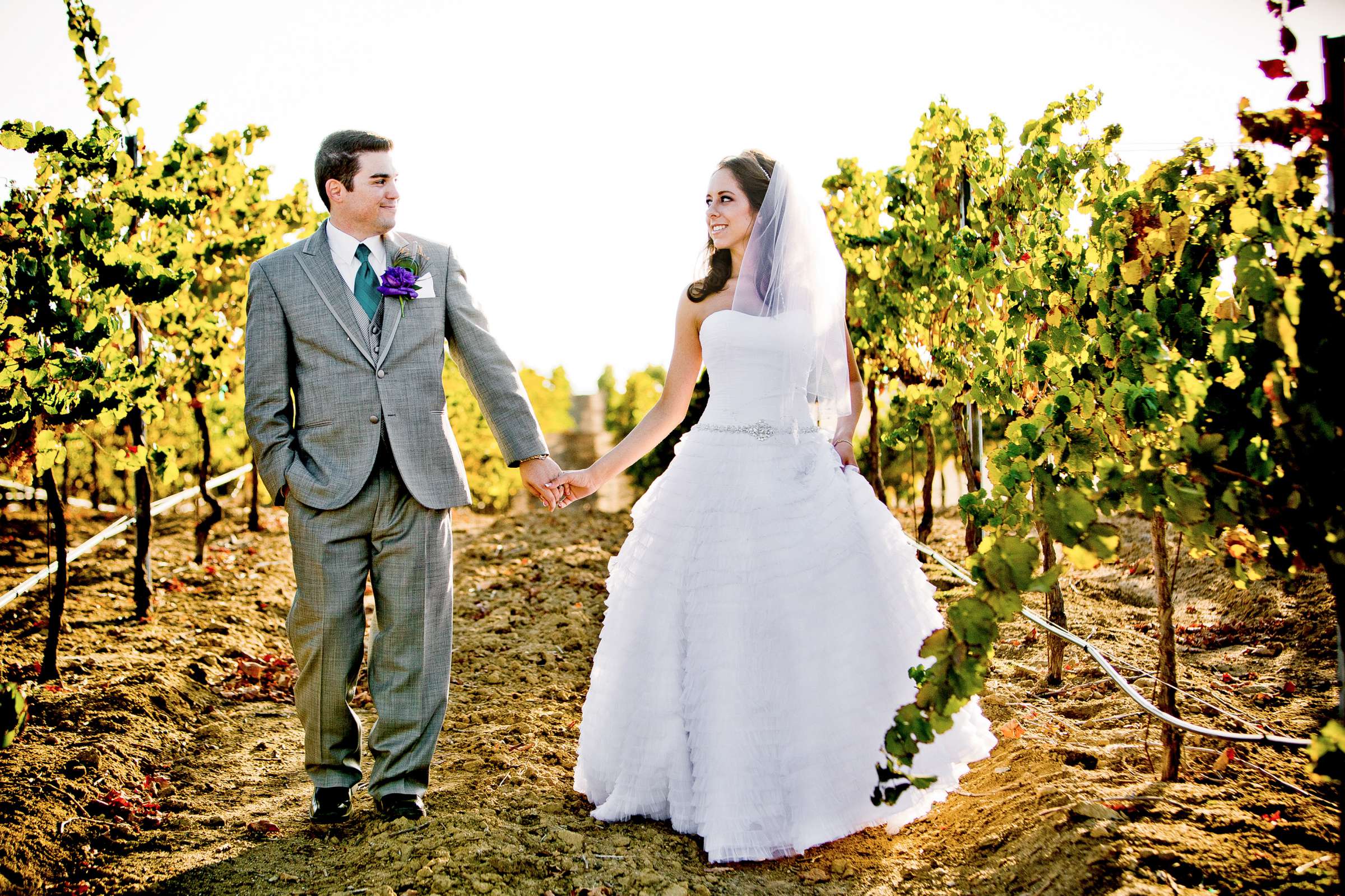 Mount Palomar Winery Wedding, Brandi and Jason Wedding Photo #321648 by True Photography