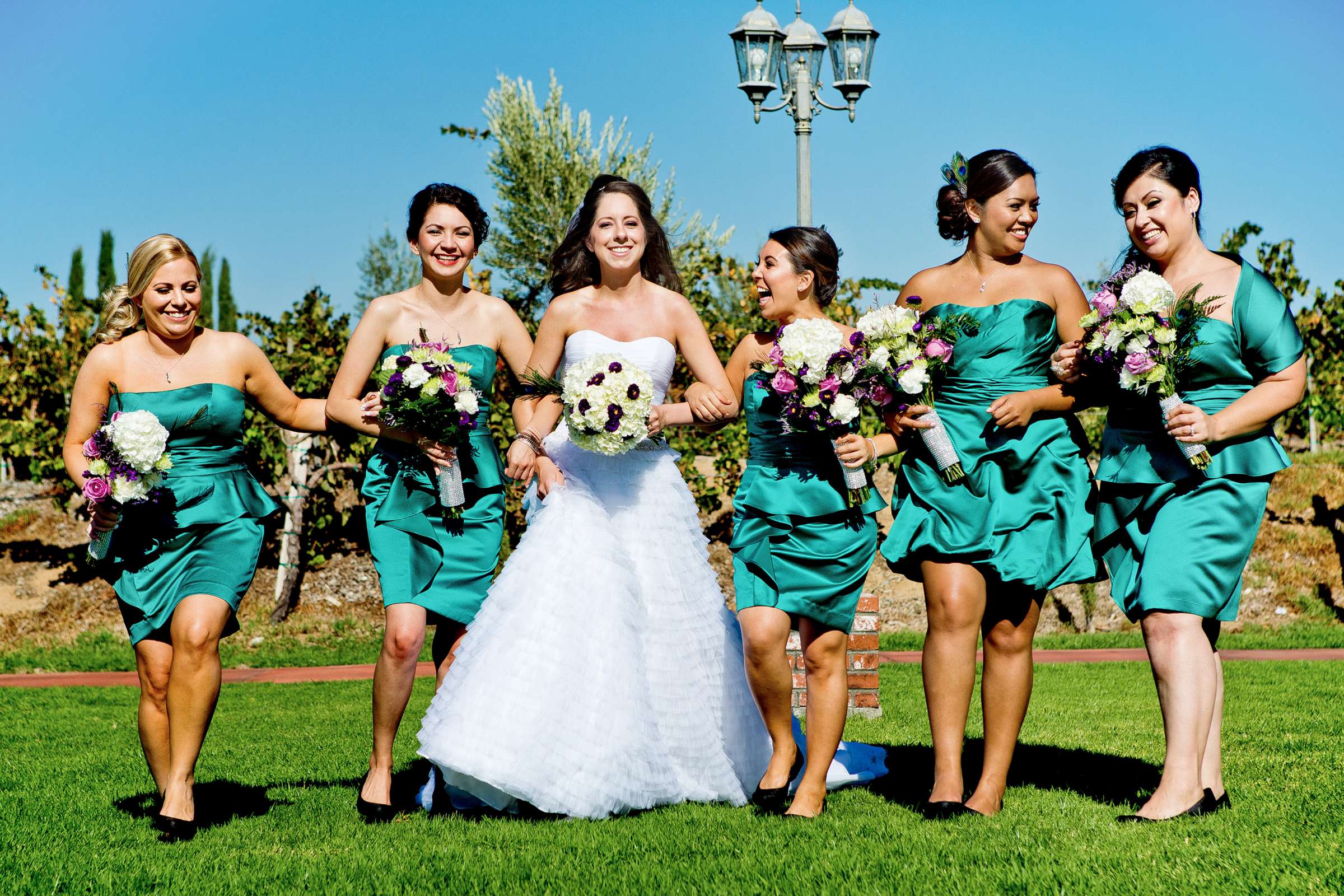 Mount Palomar Winery Wedding, Brandi and Jason Wedding Photo #321650 by True Photography