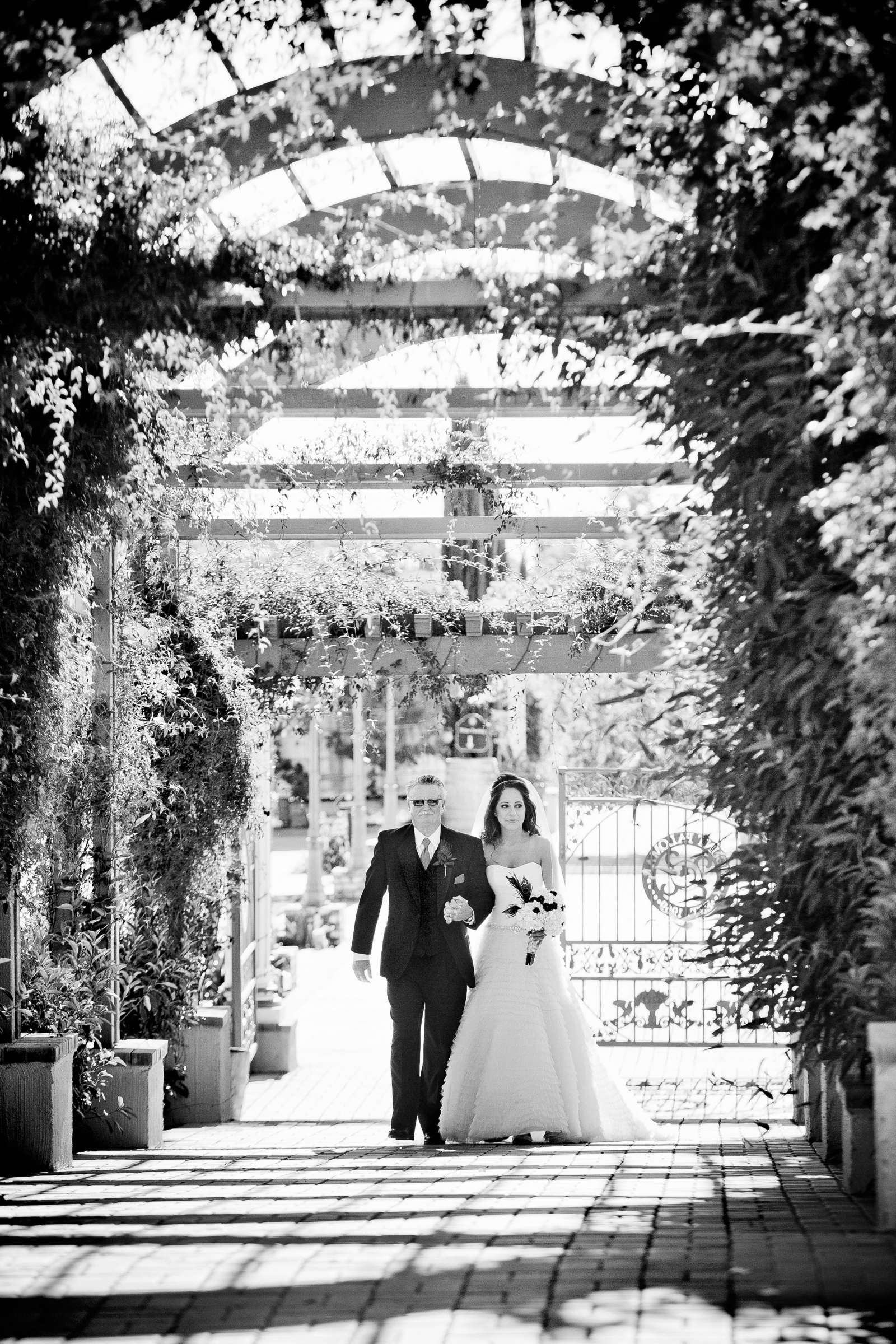 Mount Palomar Winery Wedding, Brandi and Jason Wedding Photo #321655 by True Photography