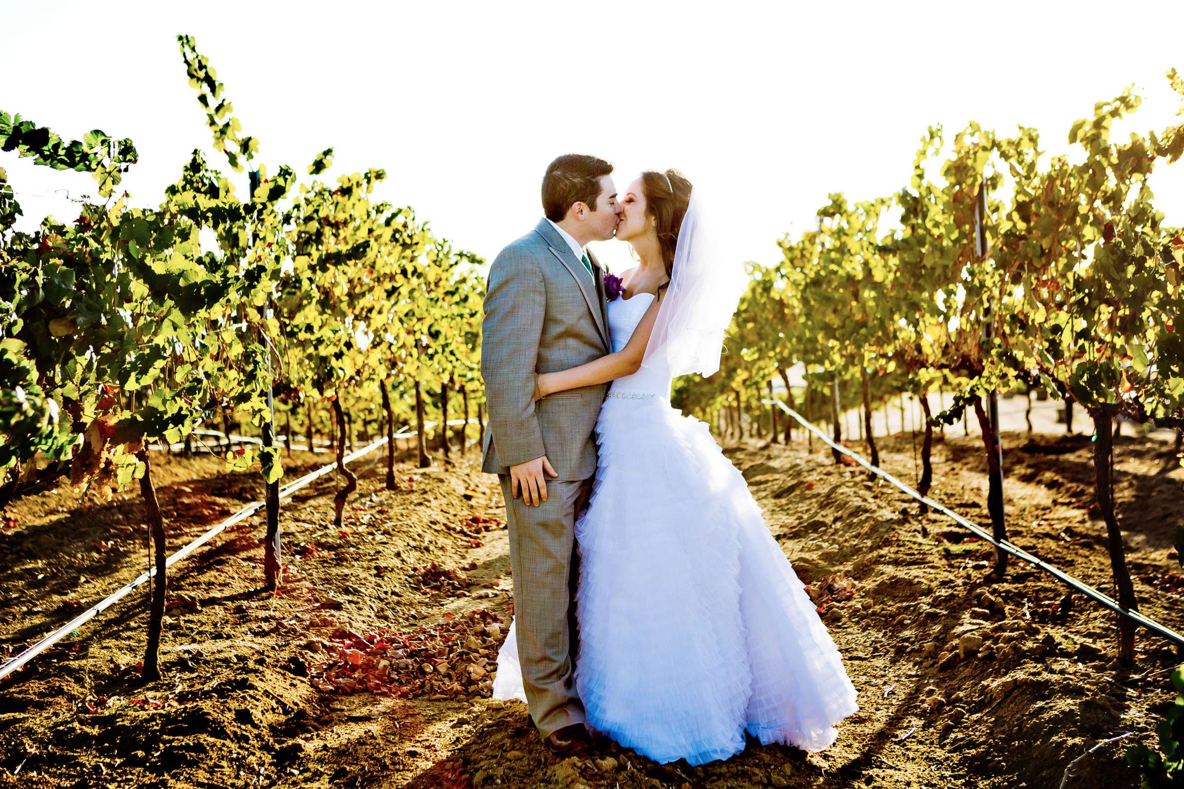 Mount Palomar Winery Wedding, Brandi and Jason Wedding Photo #321676 by True Photography