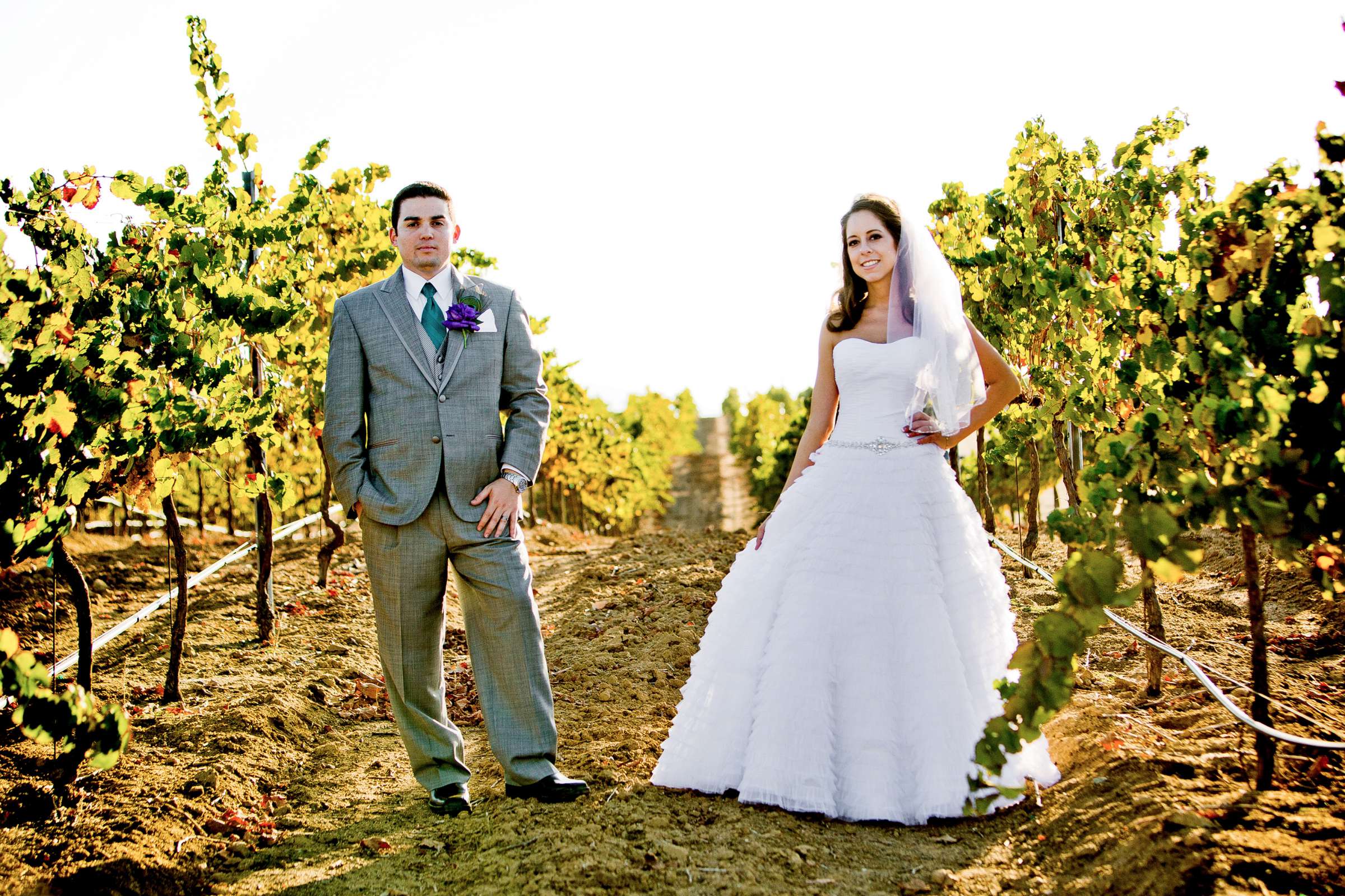 Mount Palomar Winery Wedding, Brandi and Jason Wedding Photo #321678 by True Photography