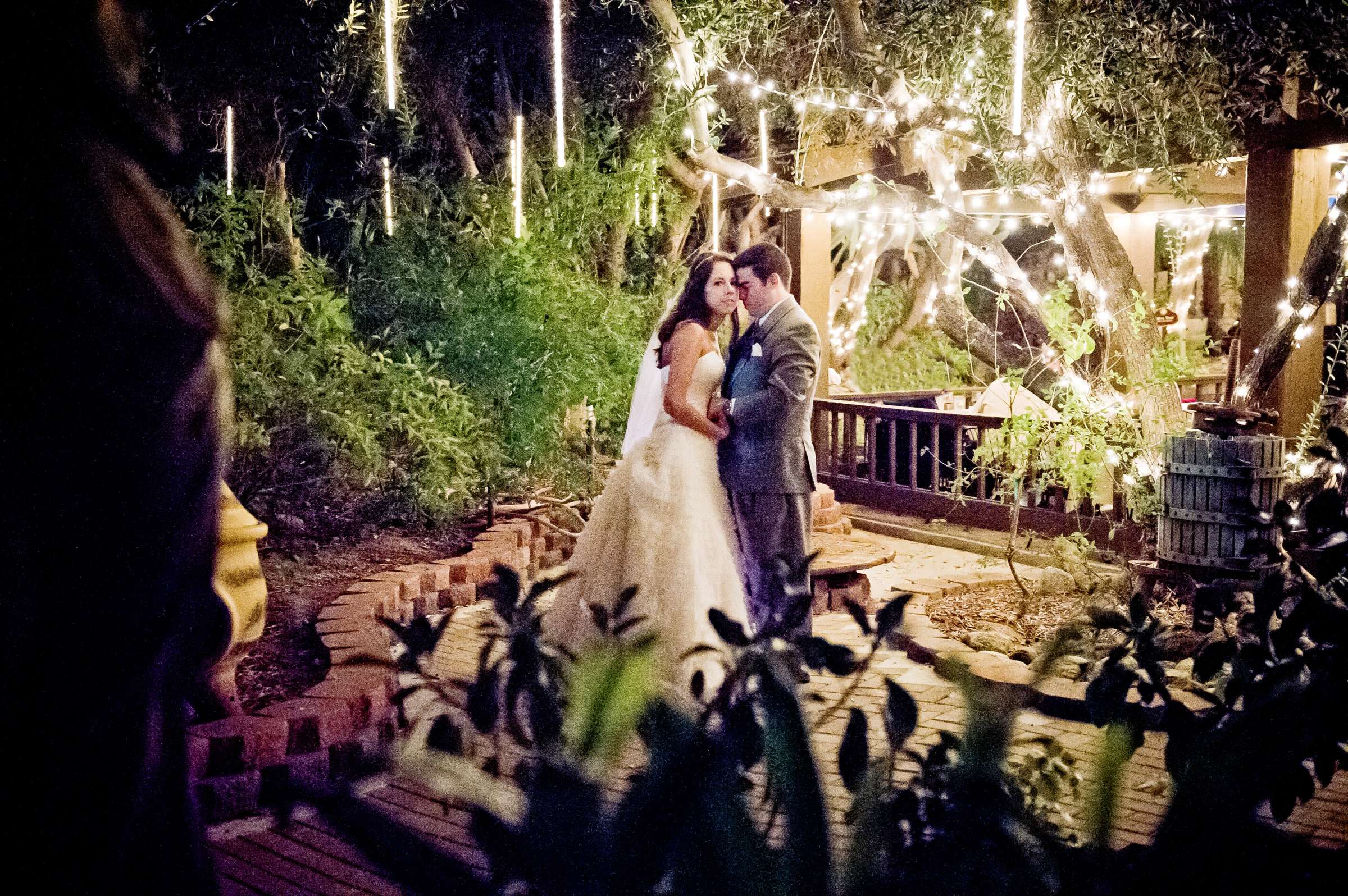 Mount Palomar Winery Wedding, Brandi and Jason Wedding Photo #321701 by True Photography
