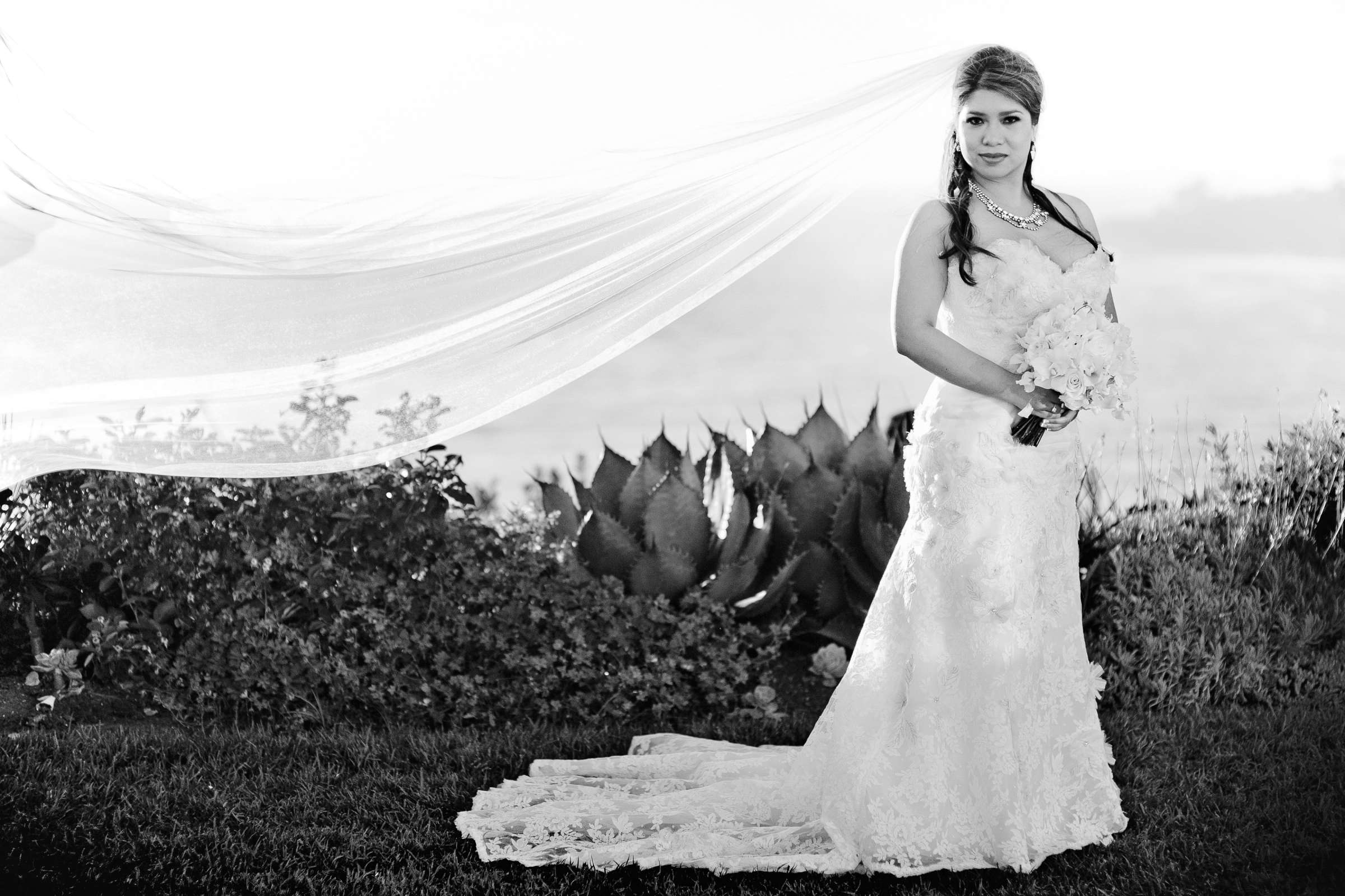 Wedding, Anh and Nasa Wedding Photo #322175 by True Photography