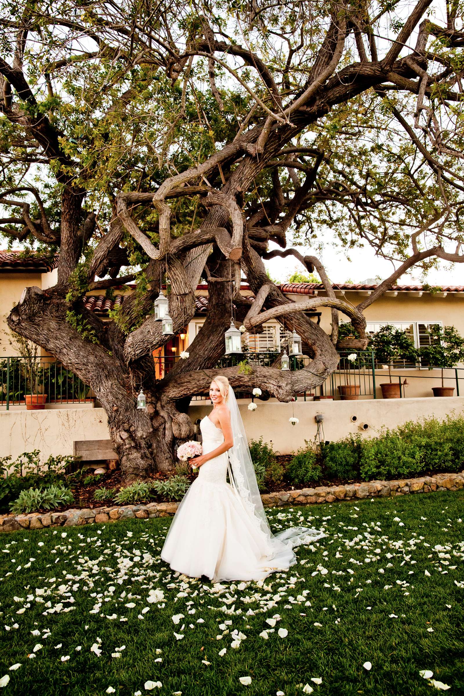 The Inn at Rancho Santa Fe Wedding coordinated by Absolutely Events, Tessa and Bryan Wedding Photo #325209 by True Photography