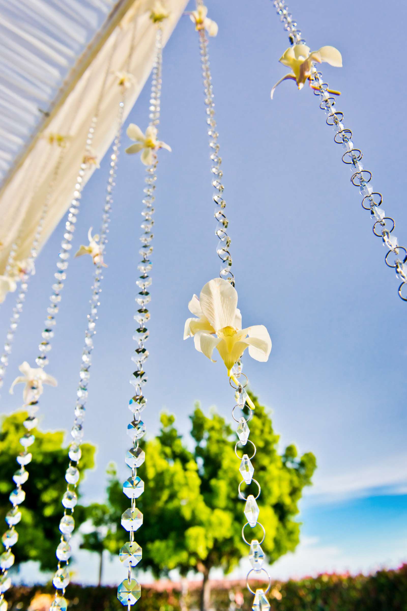 Sheraton Carlsbad Resort and Spa Wedding, Aurora and Andrew Wedding Photo #333857 by True Photography