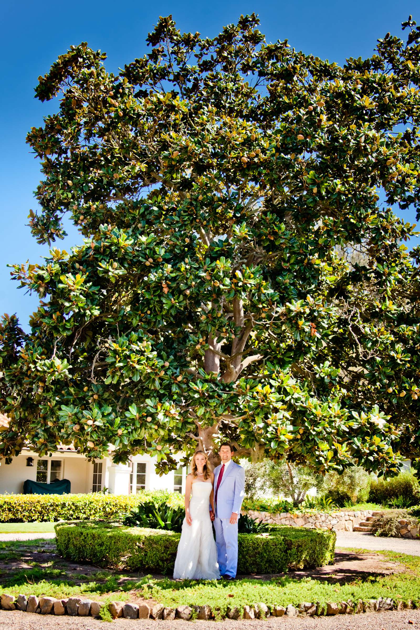 Wedding coordinated by Luxe Special Events, Tera and Andrew Wedding Photo #334824 by True Photography