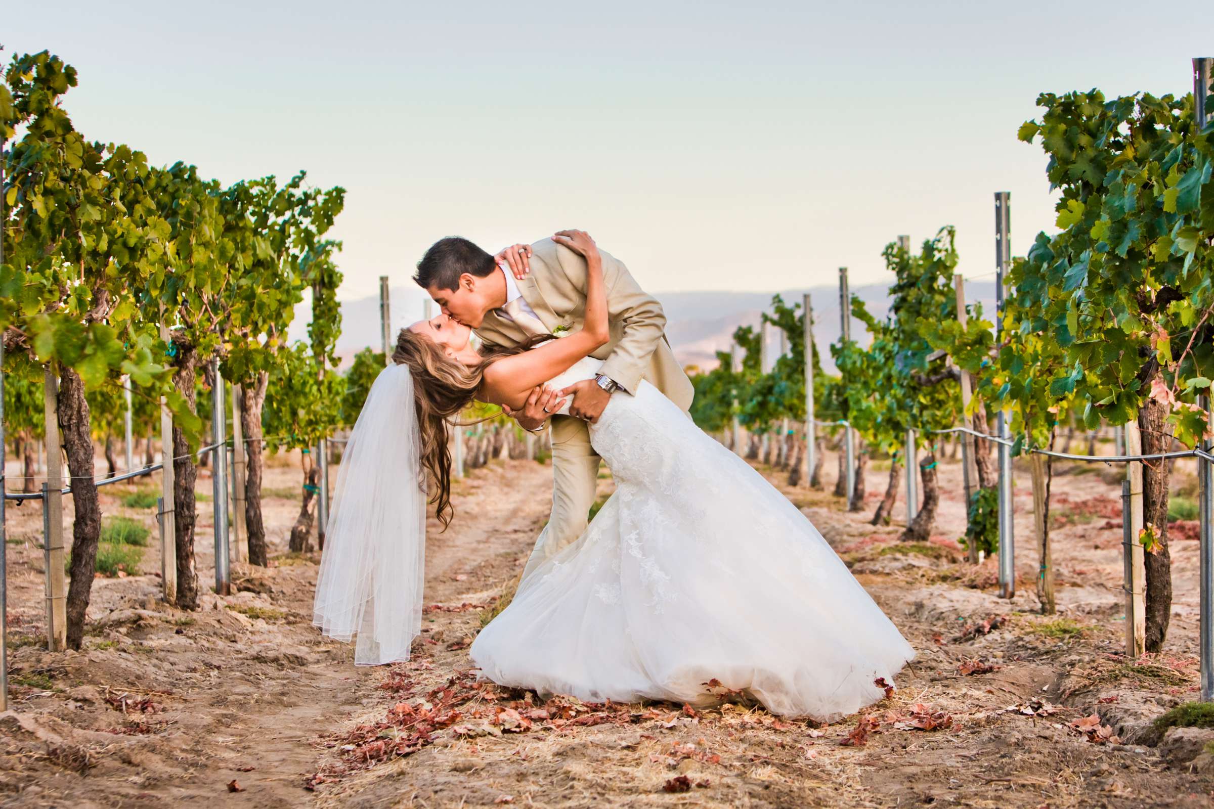 Ponte Estate Winery Wedding, Meagan and Adrian Wedding Photo #335074 by True Photography