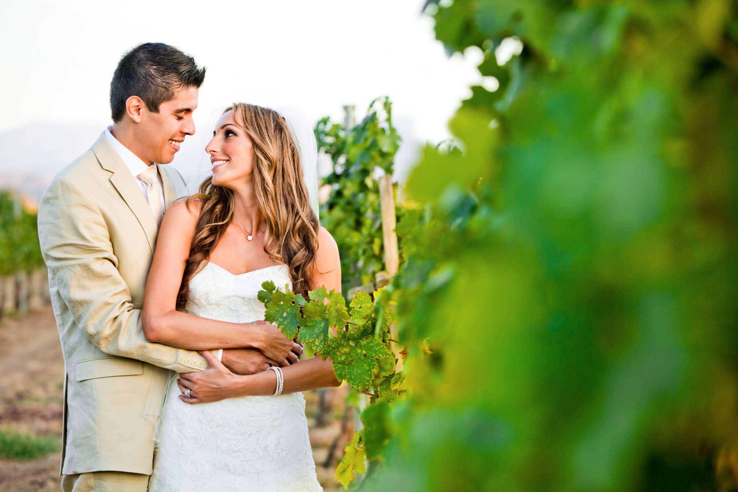 Ponte Estate Winery Wedding, Meagan and Adrian Wedding Photo #335075 by True Photography