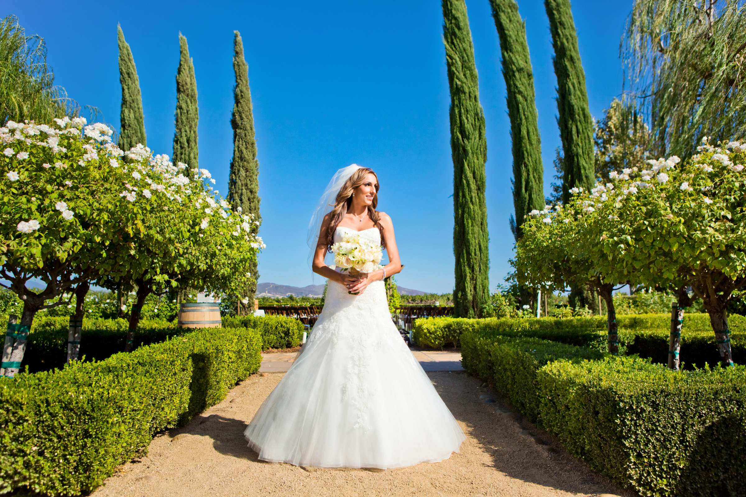 Ponte Estate Winery Wedding, Meagan and Adrian Wedding Photo #335077 by True Photography
