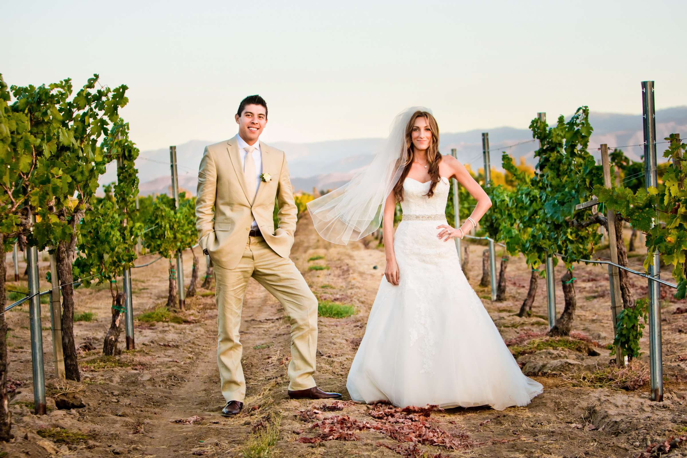 Ponte Estate Winery Wedding, Meagan and Adrian Wedding Photo #335079 by True Photography