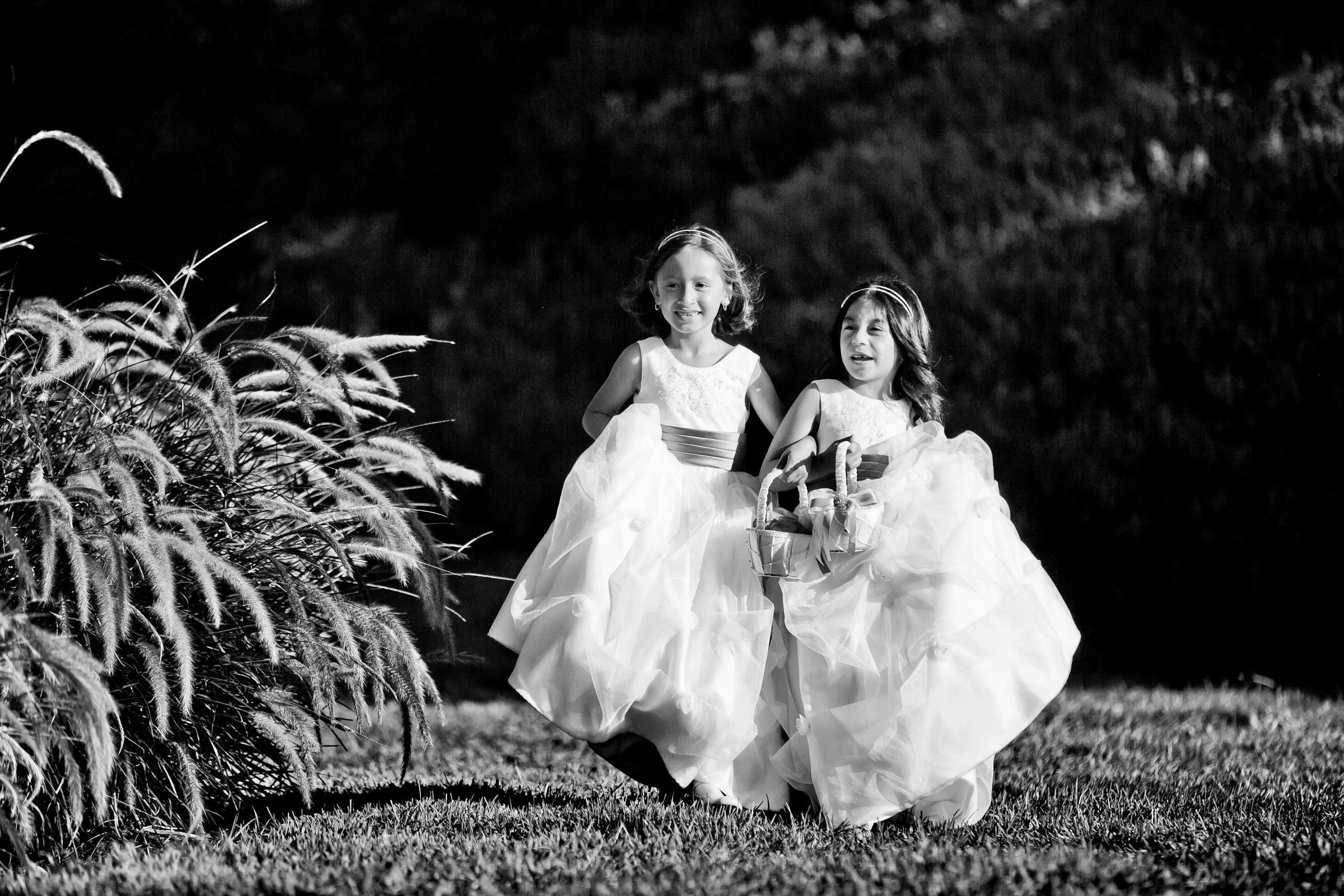 Wedding, Elsa and David Wedding Photo #336025 by True Photography