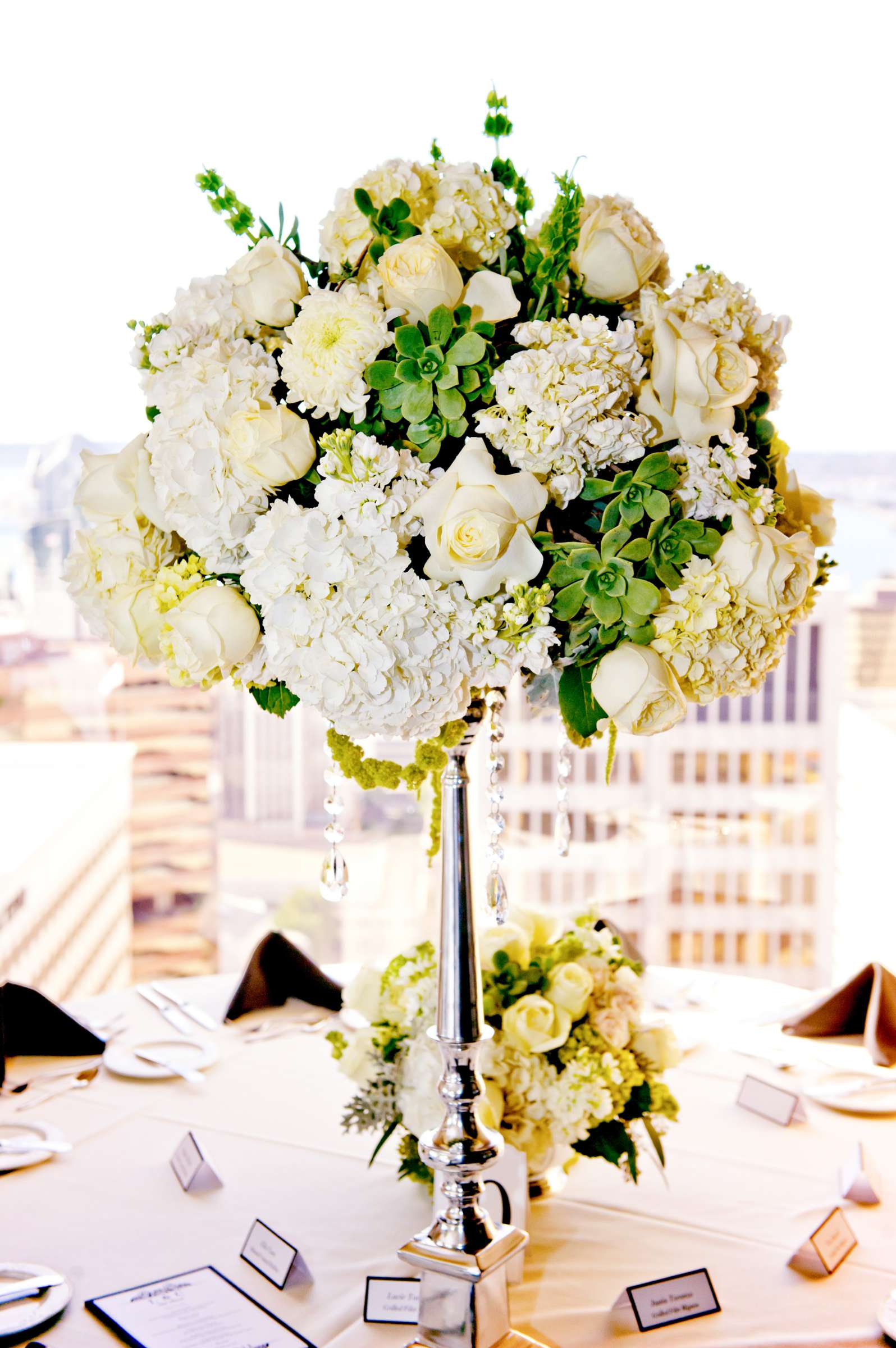 The University Club Atop Symphony Towers Wedding, Lindsey and Case Wedding Photo #336993 by True Photography