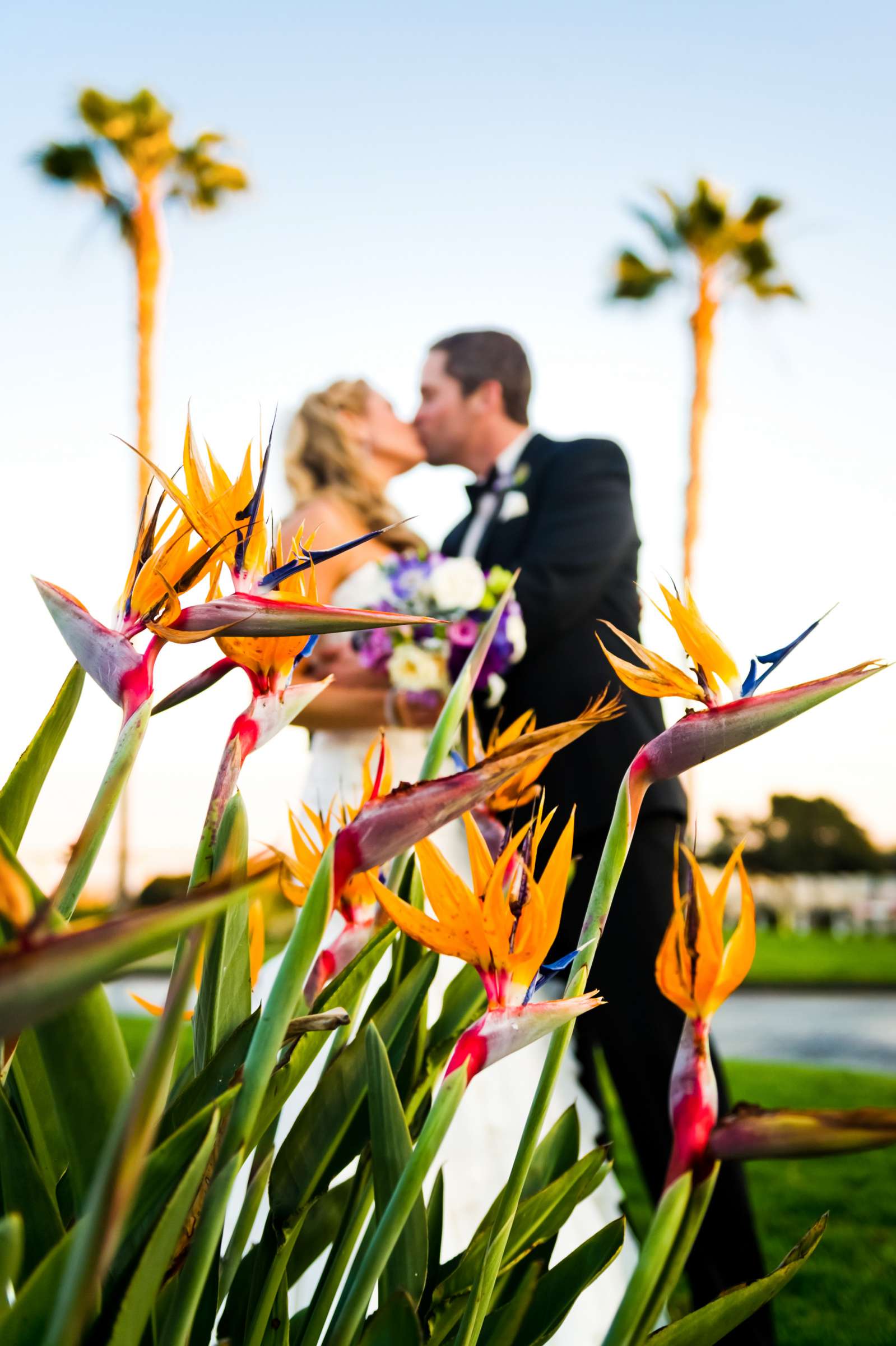 Coronado Island Marriott Resort & Spa Wedding, Megan and Derek Wedding Photo #341488 by True Photography