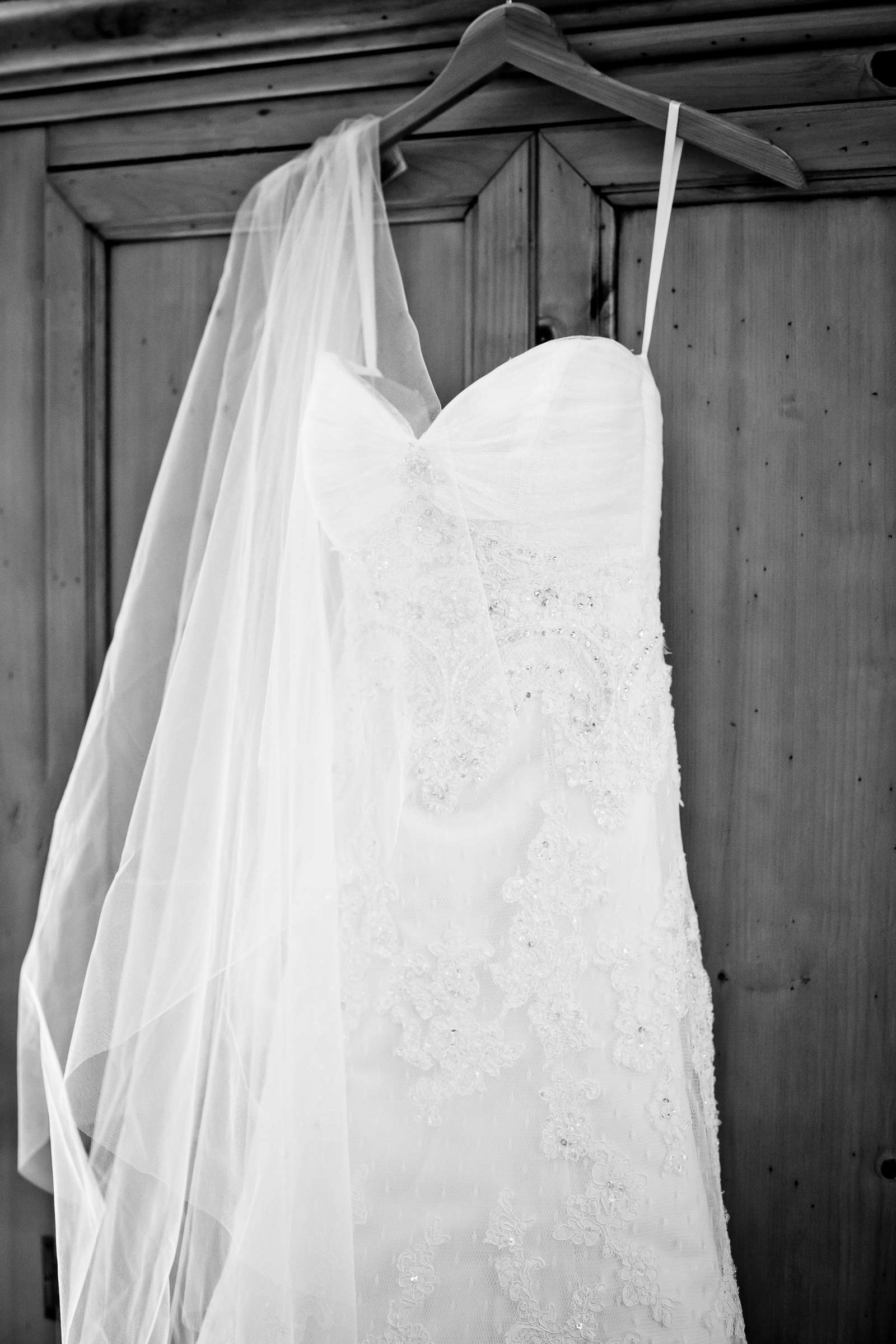 Private Residence Wedding, Dara and Brian Wedding Photo #341659 by True Photography