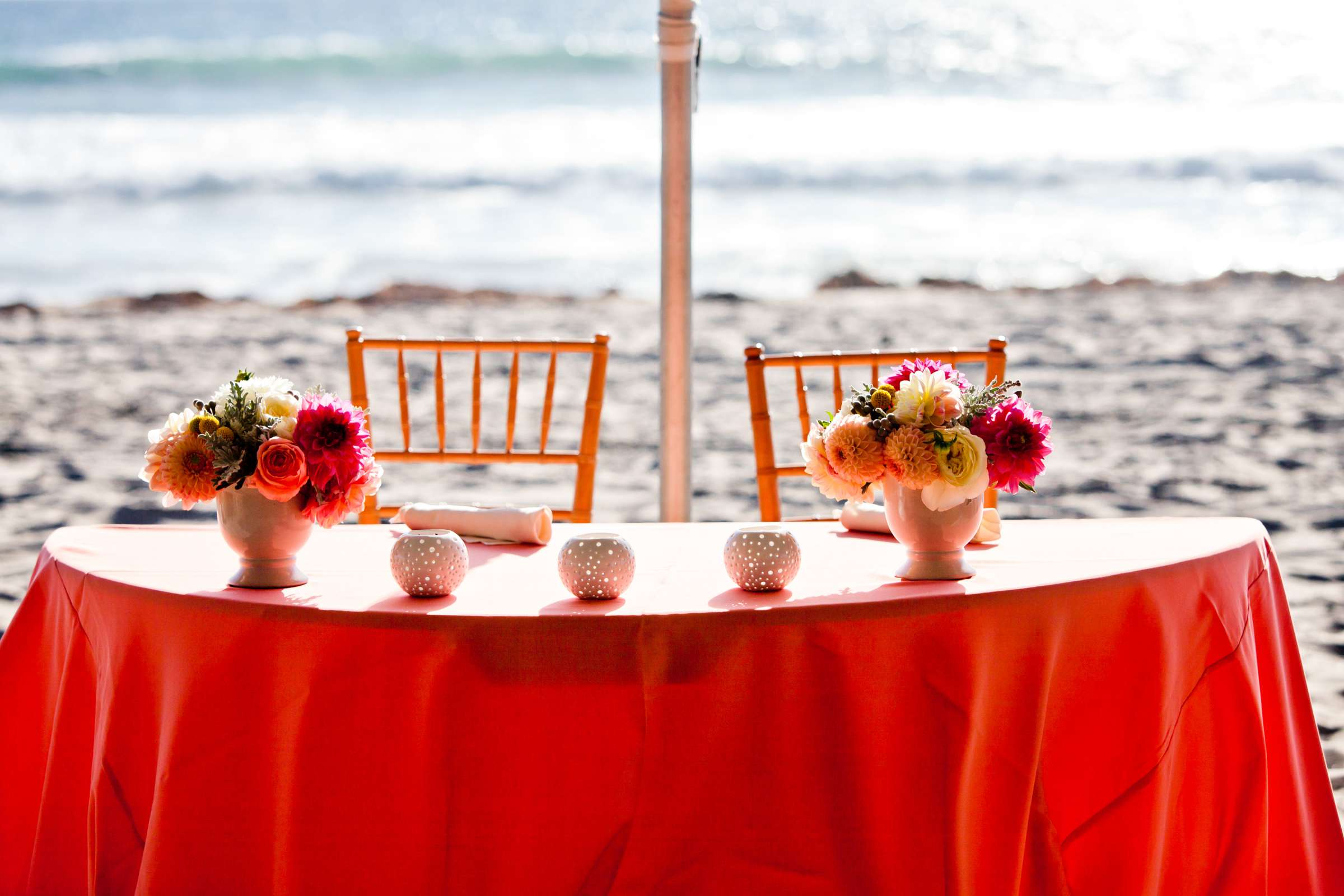 California State Beaches Wedding, Vanessa and Justin Wedding Photo #342145 by True Photography