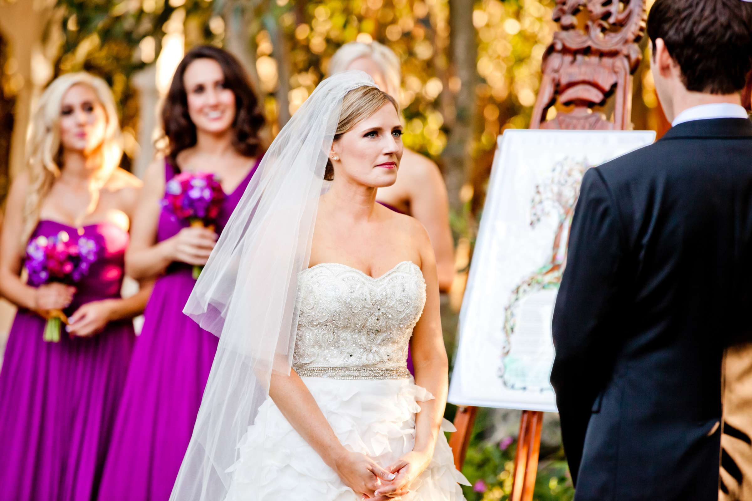 Twin Oaks House & Gardens Wedding Estate Wedding, Sara and Spencer Wedding Photo #342632 by True Photography