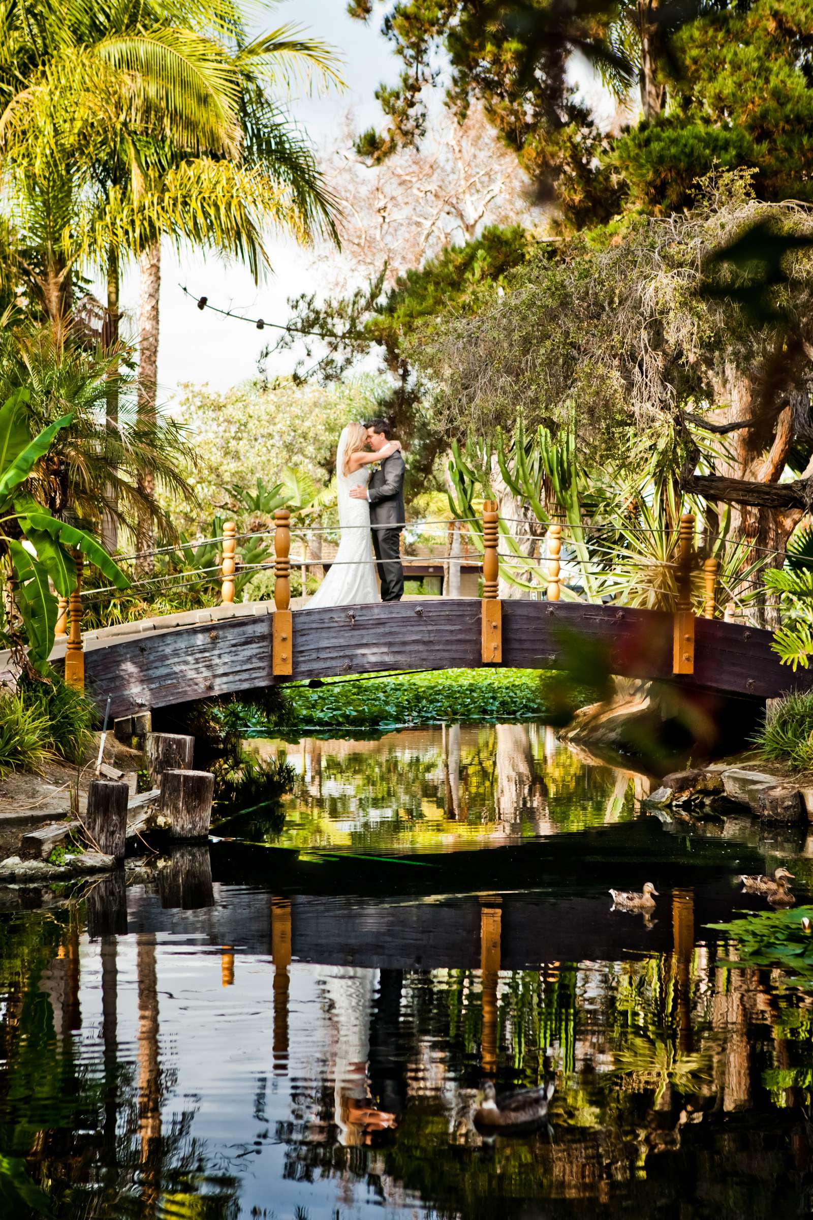 Paradise Point Wedding coordinated by First Comes Love Weddings & Events, Rachael and Paul Wedding Photo #343870 by True Photography