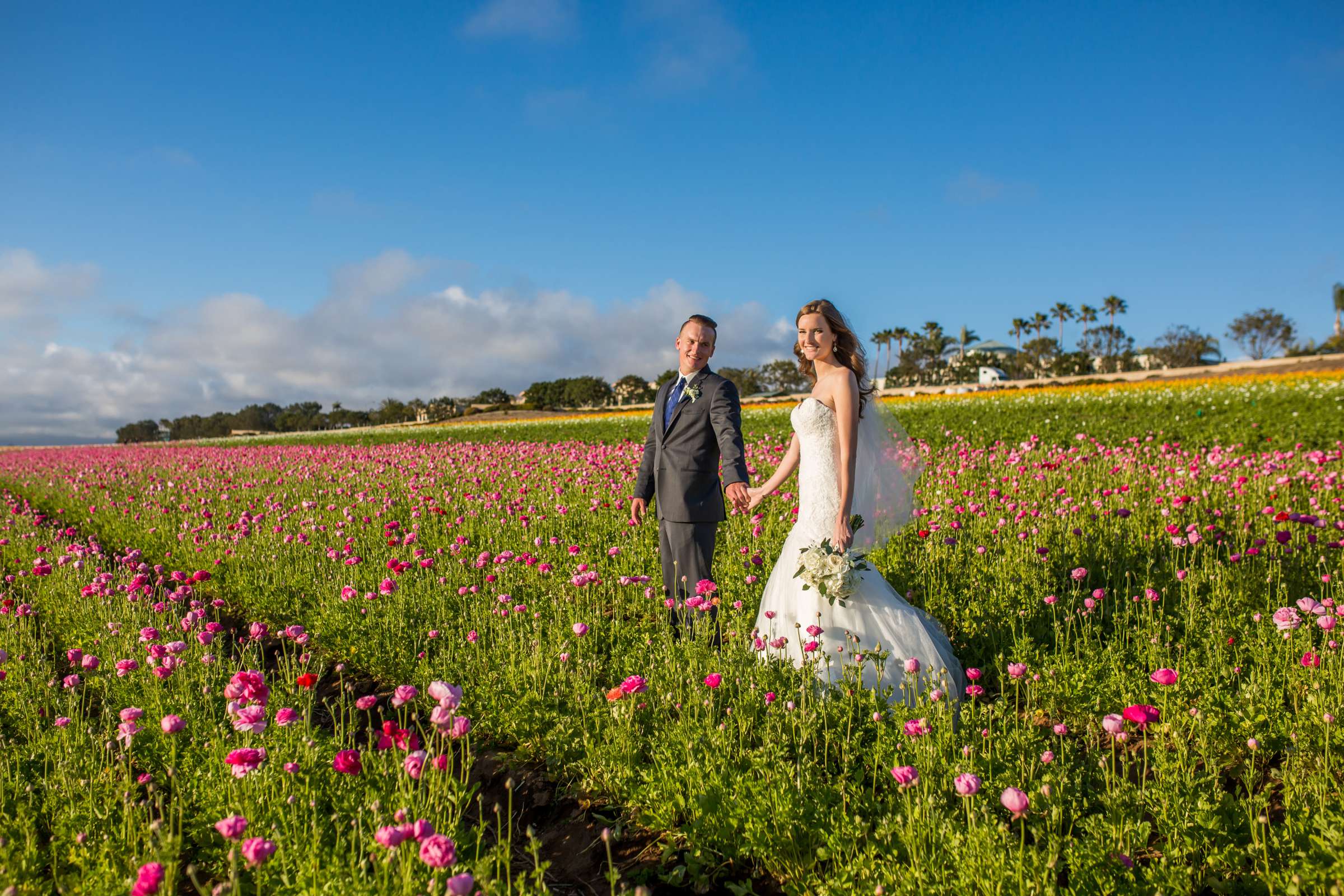 Flower Field at The Flower Fields at Carlsbad Ranch Wedding coordinated by Events by Jackie Fuhrman, Jenna and Kyle Wedding Photo #14 by True Photography