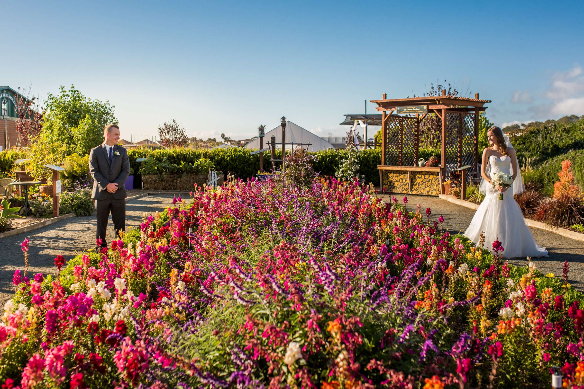 The Flower Fields at Carlsbad Ranch Wedding coordinated by Events by Jackie Fuhrman, Jenna and Kyle Wedding Photo #49 by True Photography