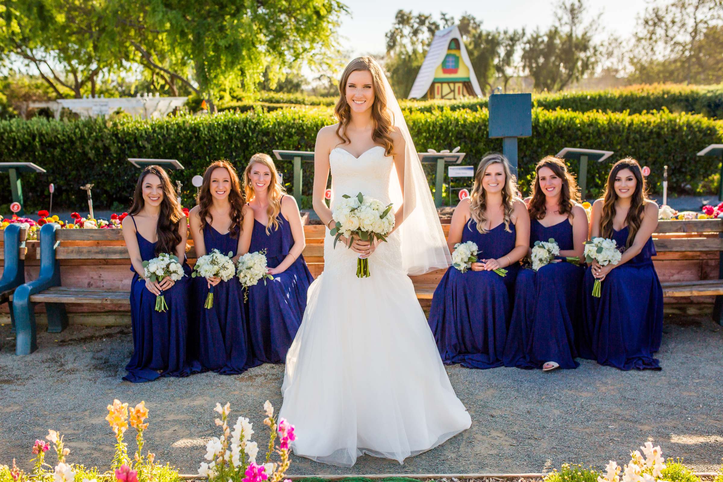 The Flower Fields at Carlsbad Ranch Wedding coordinated by Events by Jackie Fuhrman, Jenna and Kyle Wedding Photo #55 by True Photography