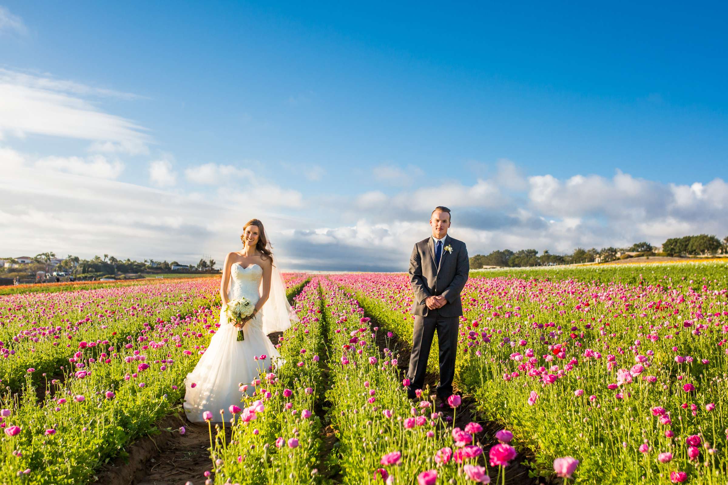 Flower Field, Fashion at The Flower Fields at Carlsbad Ranch Wedding coordinated by Events by Jackie Fuhrman, Jenna and Kyle Wedding Photo #62 by True Photography