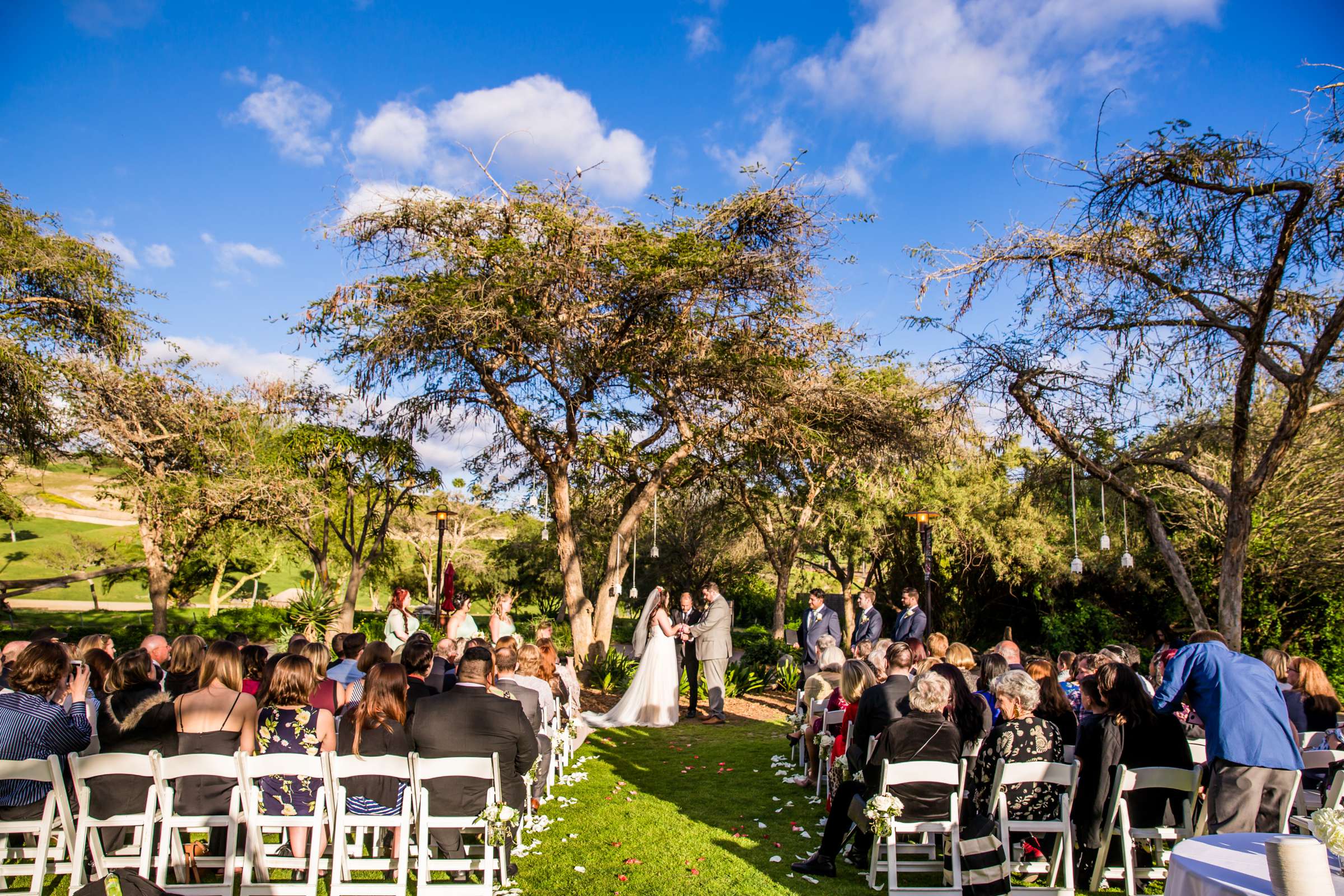 Safari Park Wedding, Jessica and Nick Wedding Photo #72 by True Photography