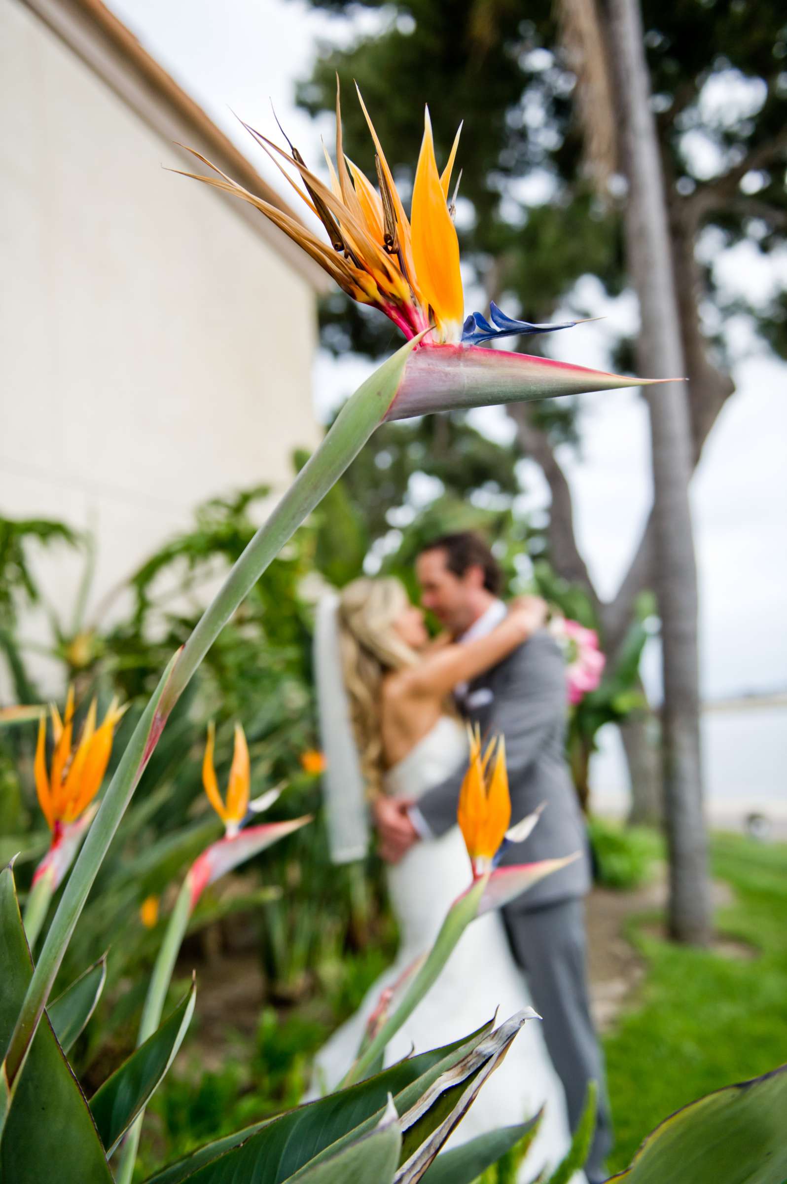 San Diego Mission Bay Resort Wedding, Elana and Brad Wedding Photo #346133 by True Photography