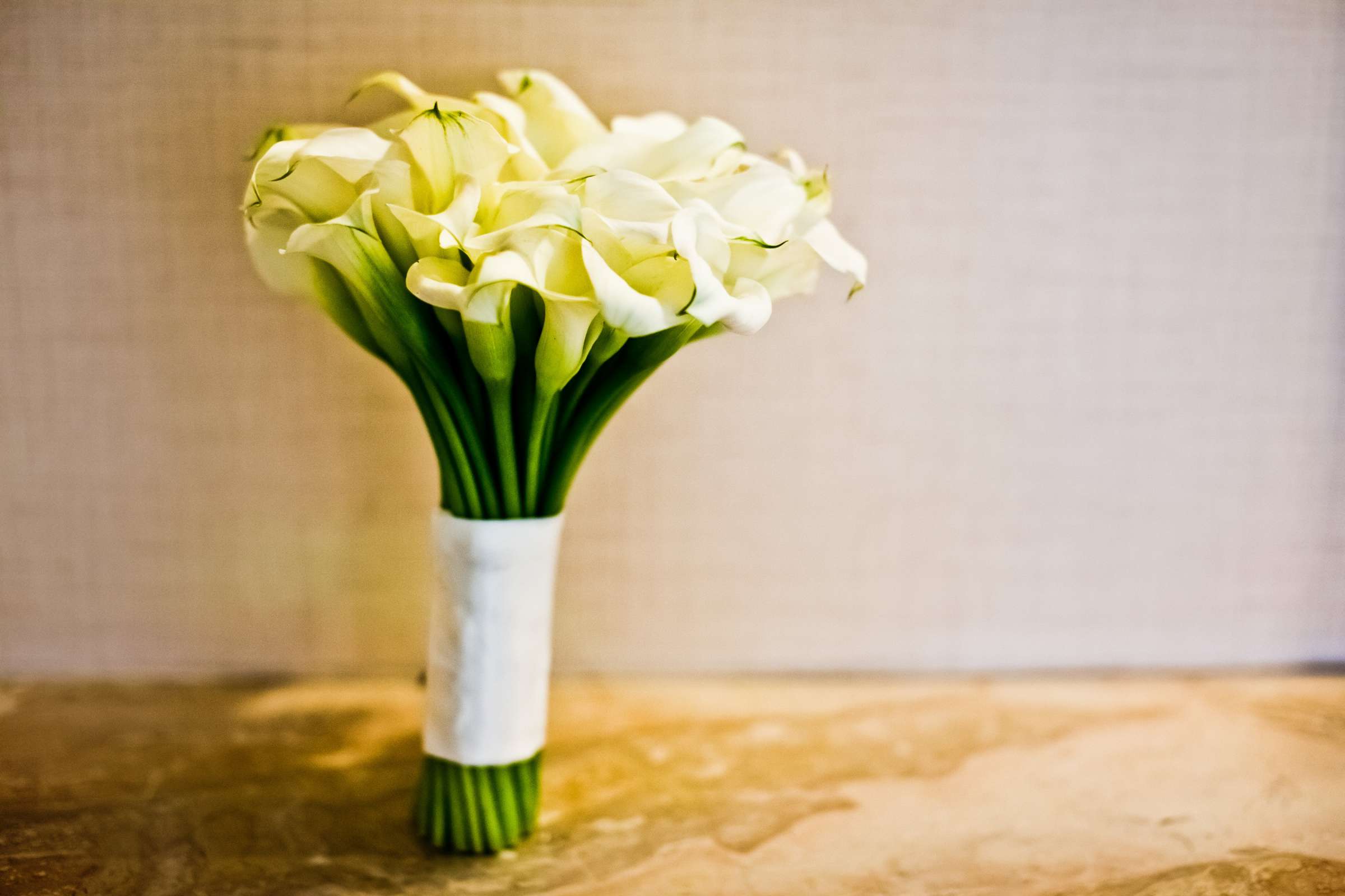 Hotel Del Coronado Wedding coordinated by EverAfter Events, Robyn and Jayson Wedding Photo #347116 by True Photography