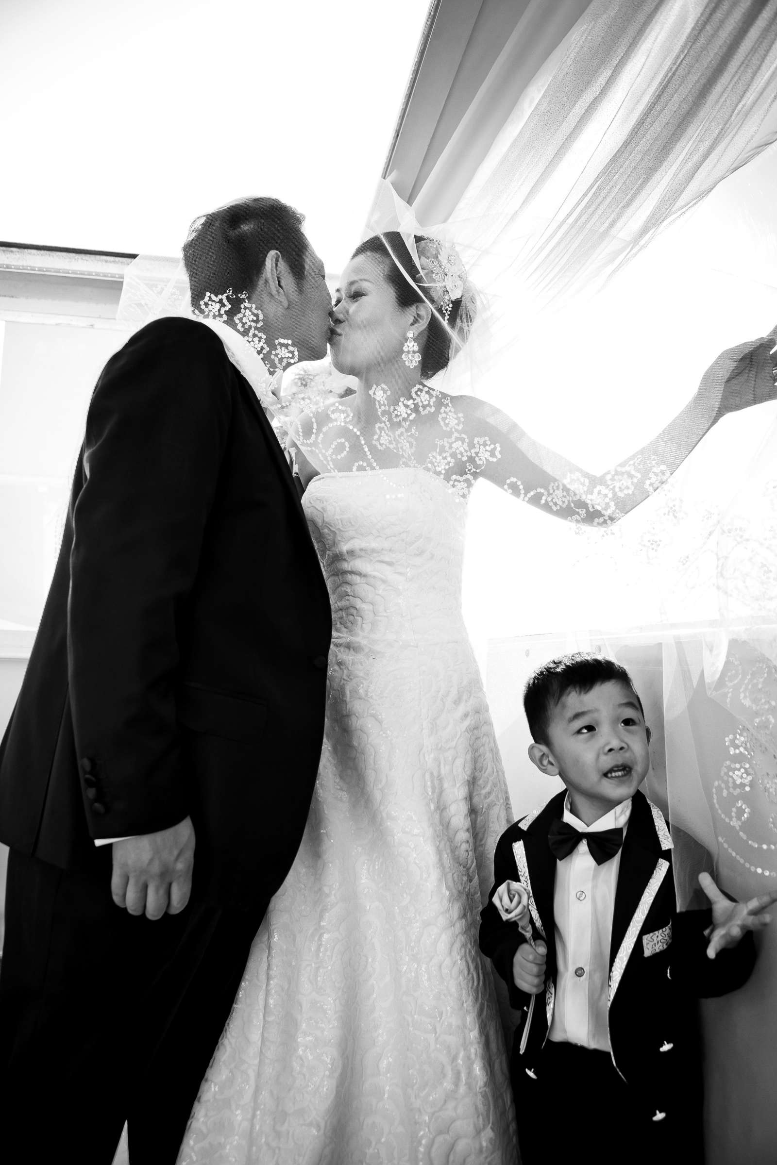 Hornblower cruise line Wedding, Maggie and Bobby Wedding Photo #348042 by True Photography