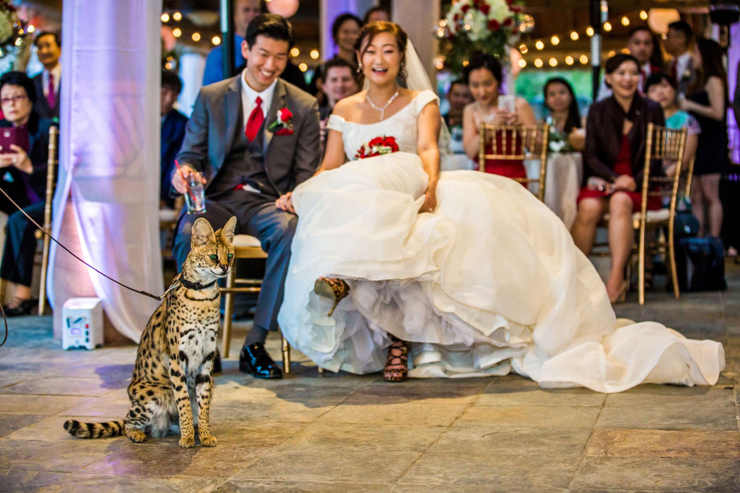 Safari Park Wedding, Jocelyn and Heras Wedding Photo #1 by True Photography