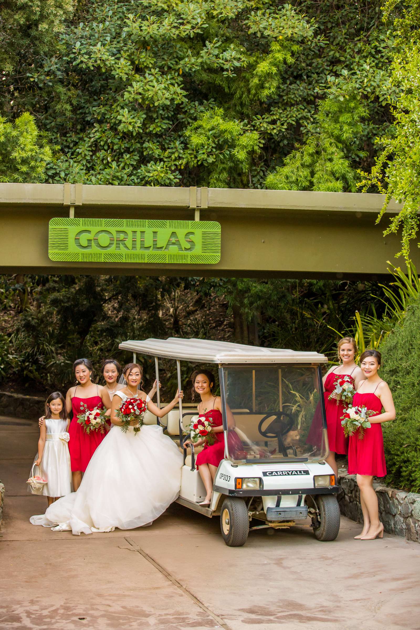 Safari Park Wedding, Jocelyn and Heras Wedding Photo #40 by True Photography