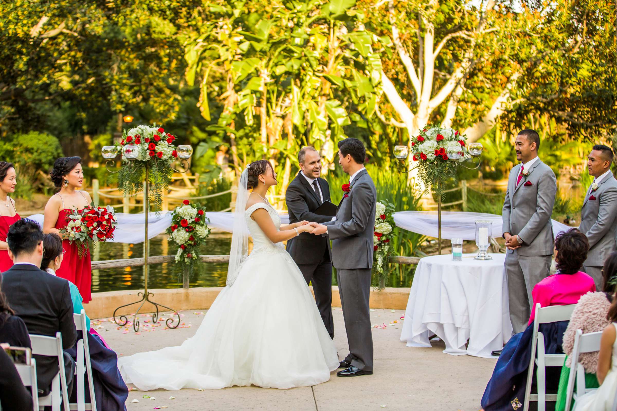 Safari Park Wedding, Jocelyn and Heras Wedding Photo #51 by True Photography