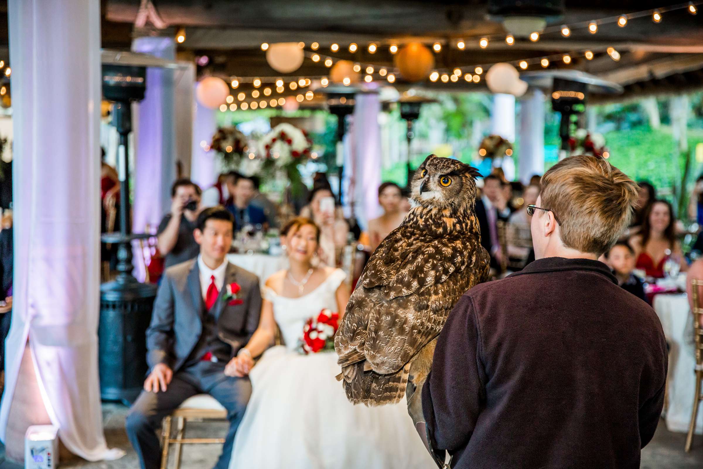 Safari Park Wedding, Jocelyn and Heras Wedding Photo #81 by True Photography