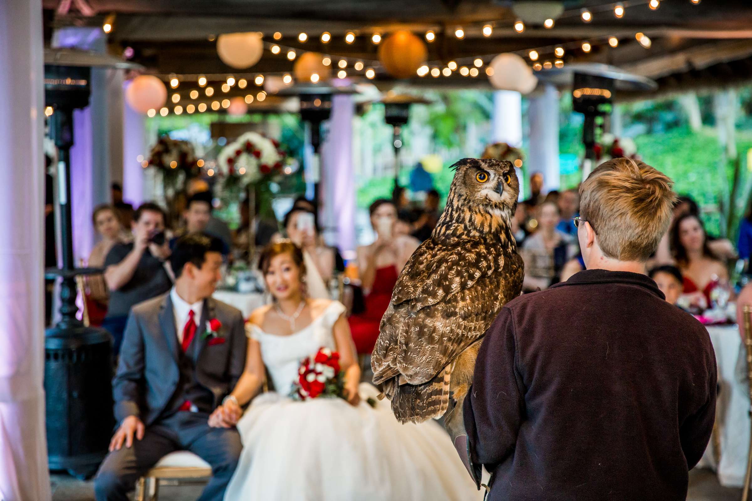 Safari Park Wedding, Jocelyn and Heras Wedding Photo #165 by True Photography