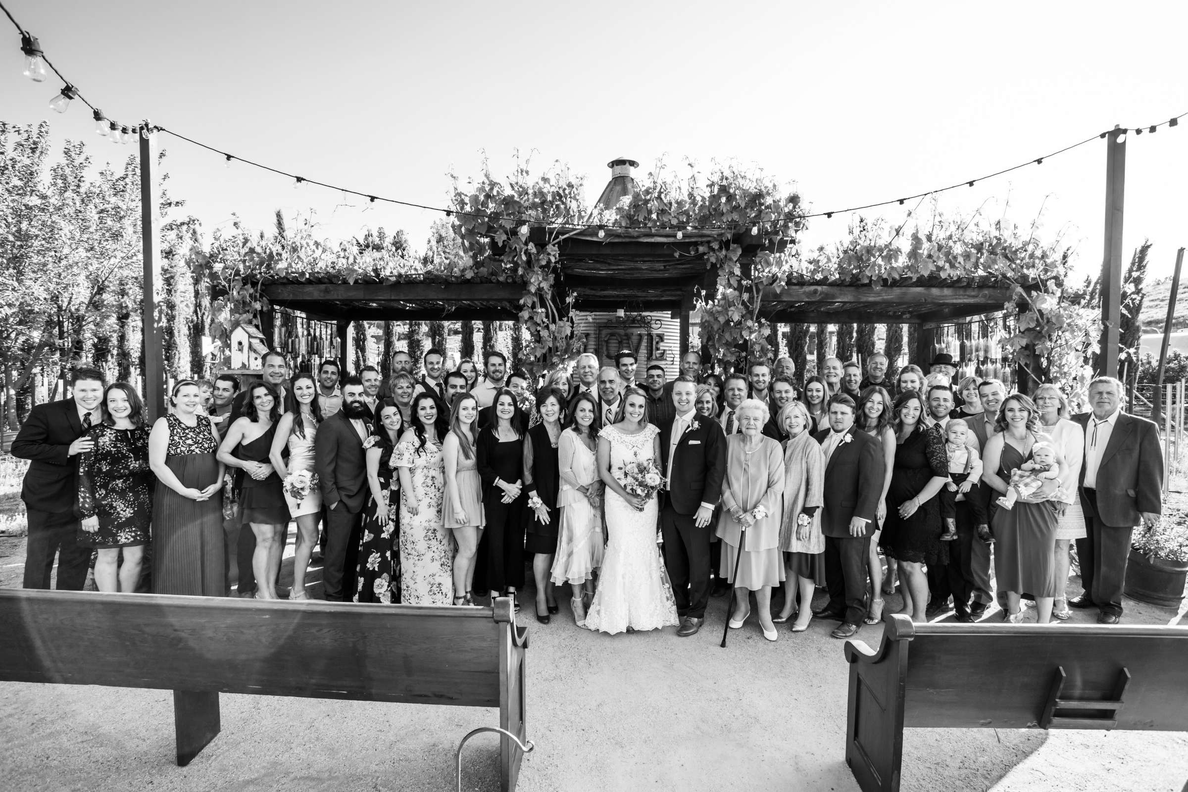 Peltzer Winery Wedding, Jaclyn and Nick Wedding Photo #102 by True Photography