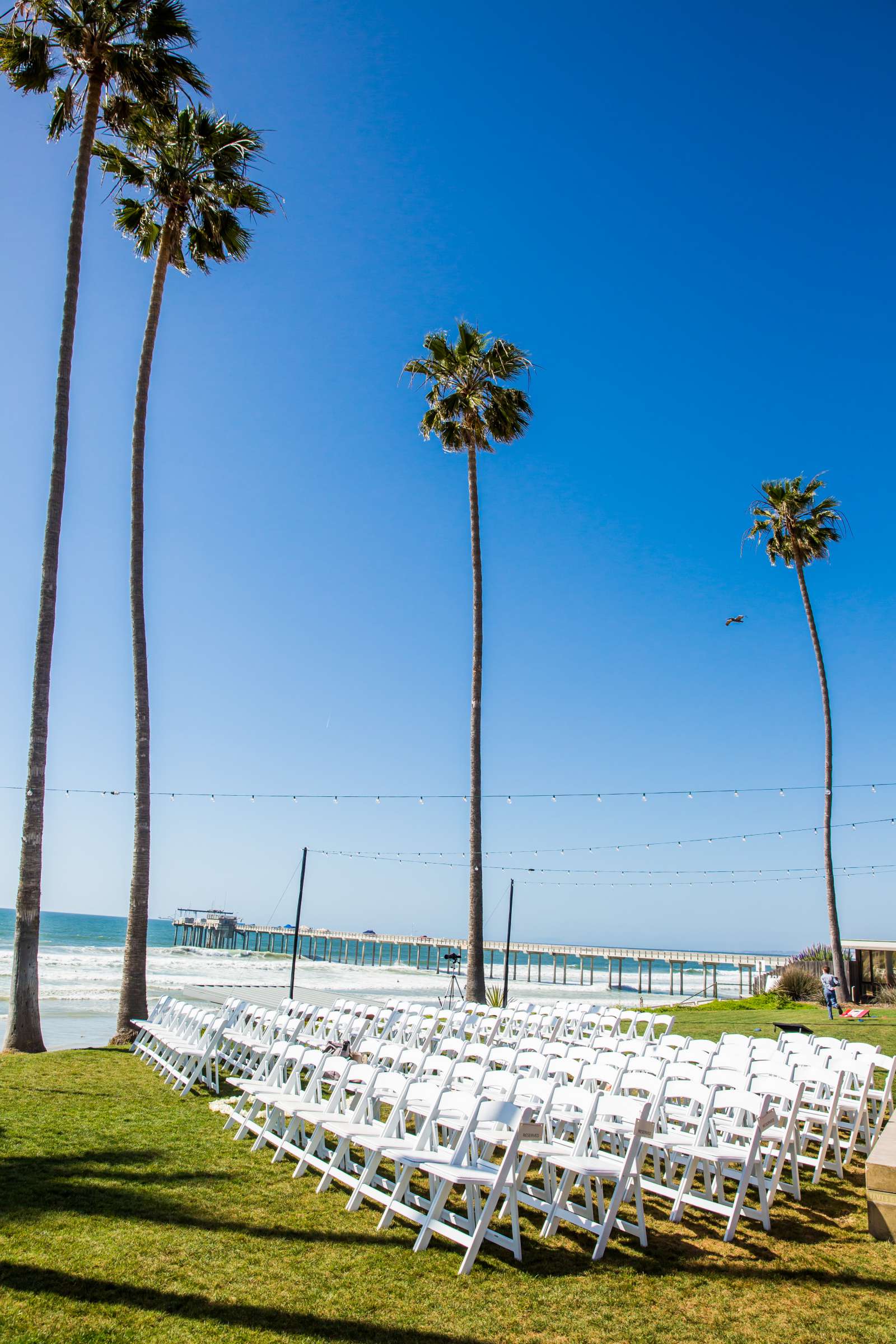 Scripps Seaside Forum Wedding coordinated by Selina Rose Weddings & Events, Alexandra and Steven Wedding Photo #352114 by True Photography