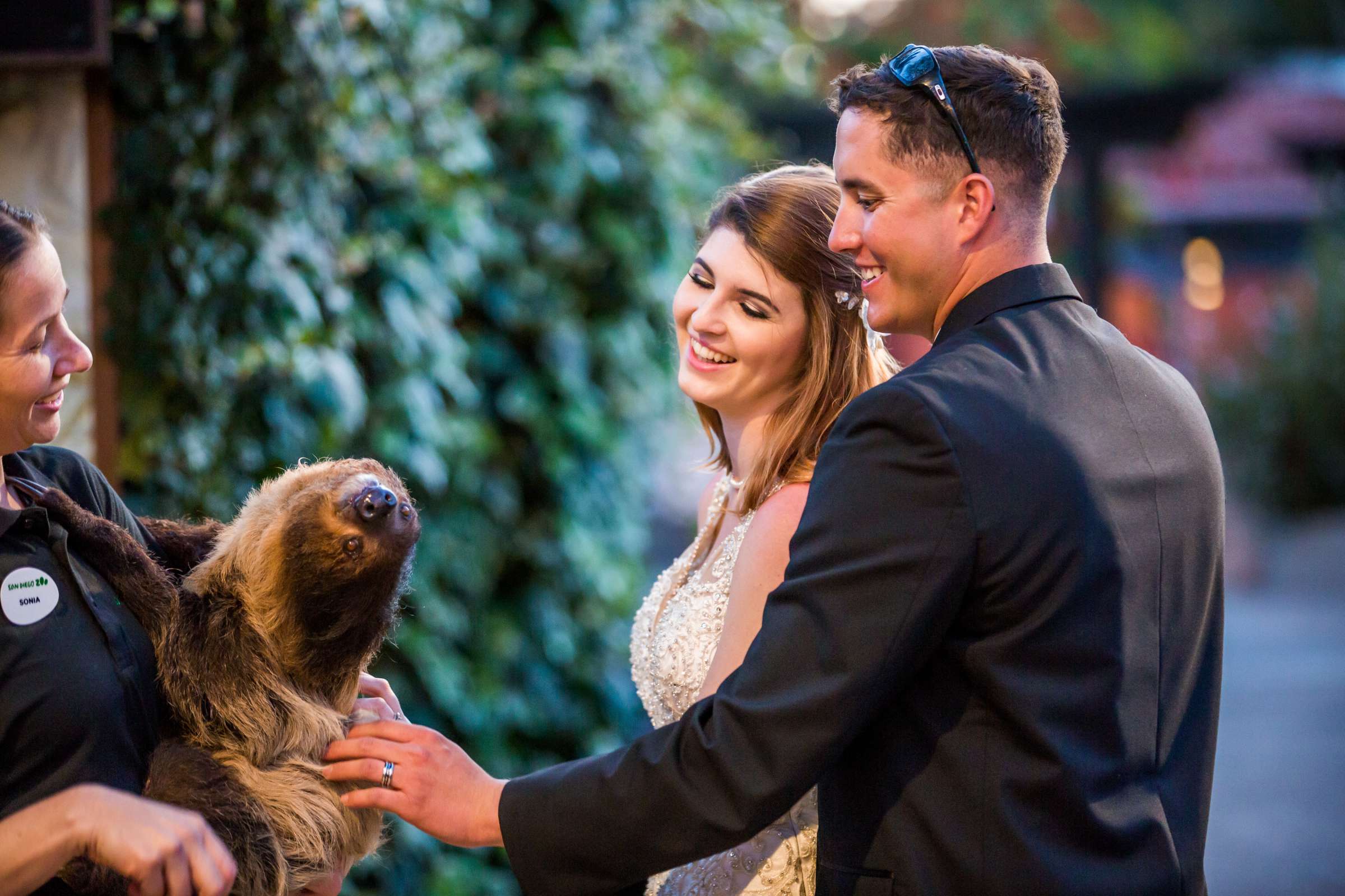 Bride and Groom at Safari Park Wedding, Arianna and Tyler Wedding Photo #352208 by True Photography