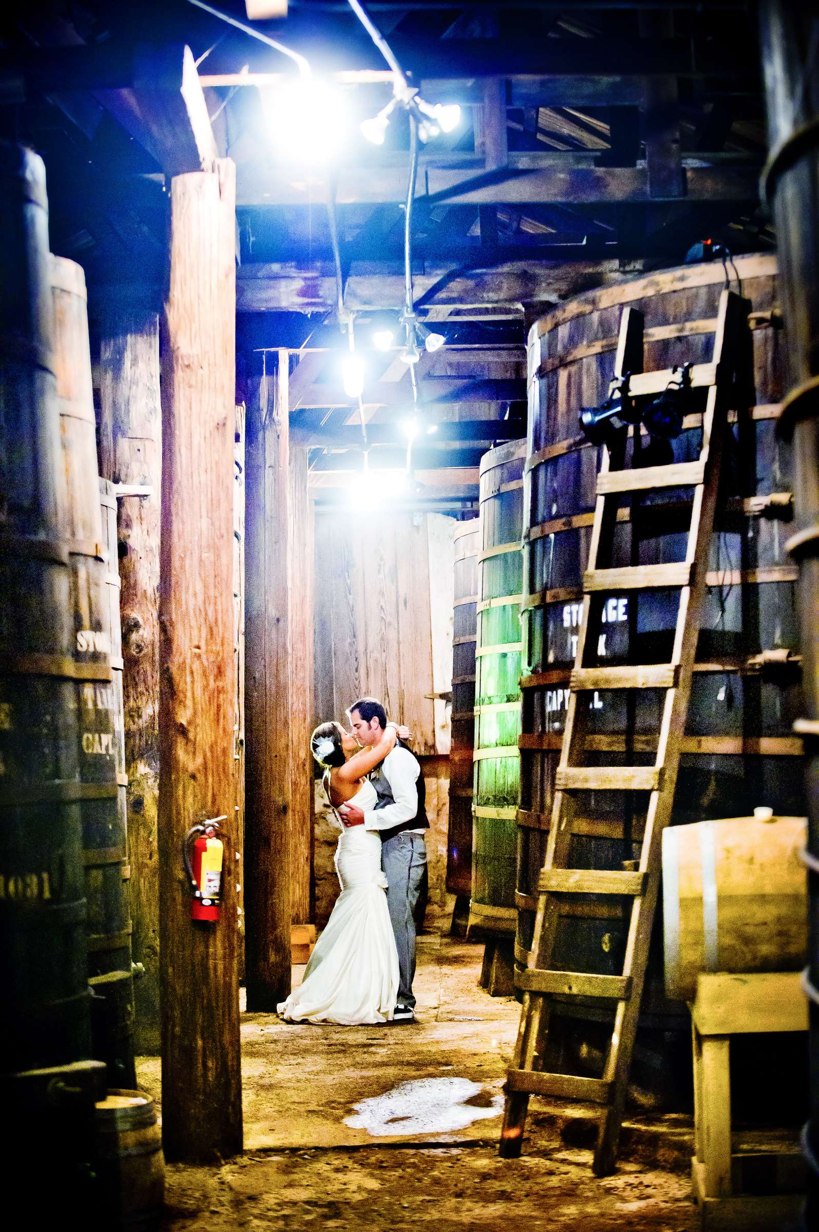 Bernardo Winery Wedding, Farin and Blake Wedding Photo #355054 by True Photography