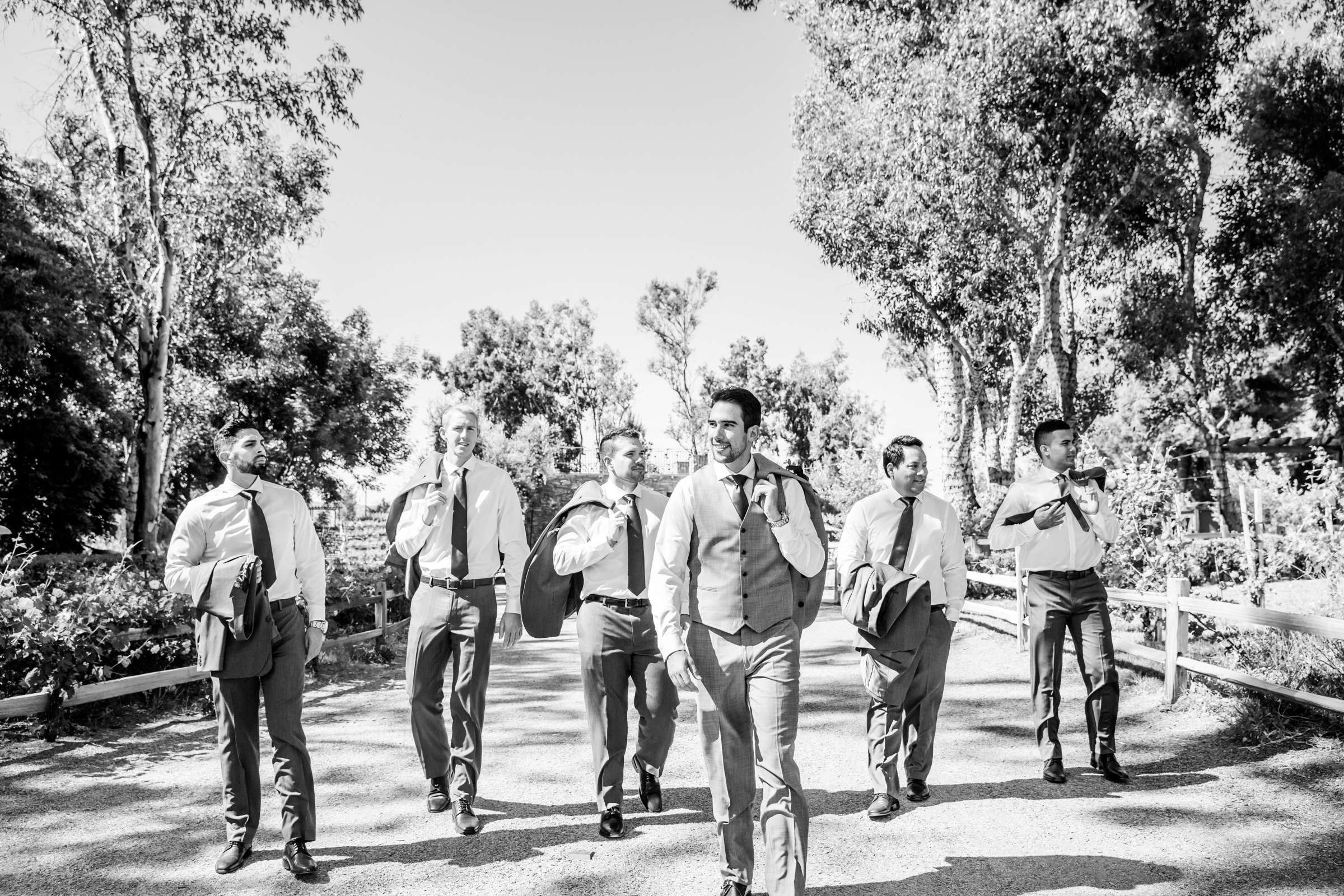 Lake Oak Meadows Wedding, Andrea and George Wedding Photo #355706 by True Photography
