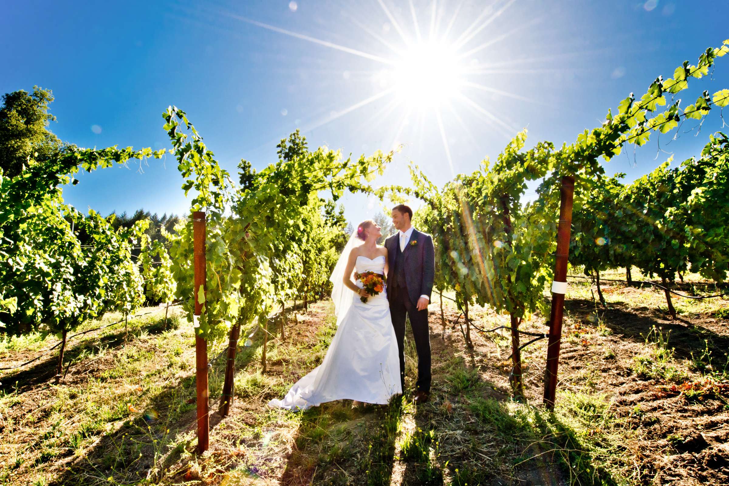 Yates Family Vineyard Wedding coordinated by Napa Valley Celebrations, Katie and Patrick Wedding Photo #356098 by True Photography