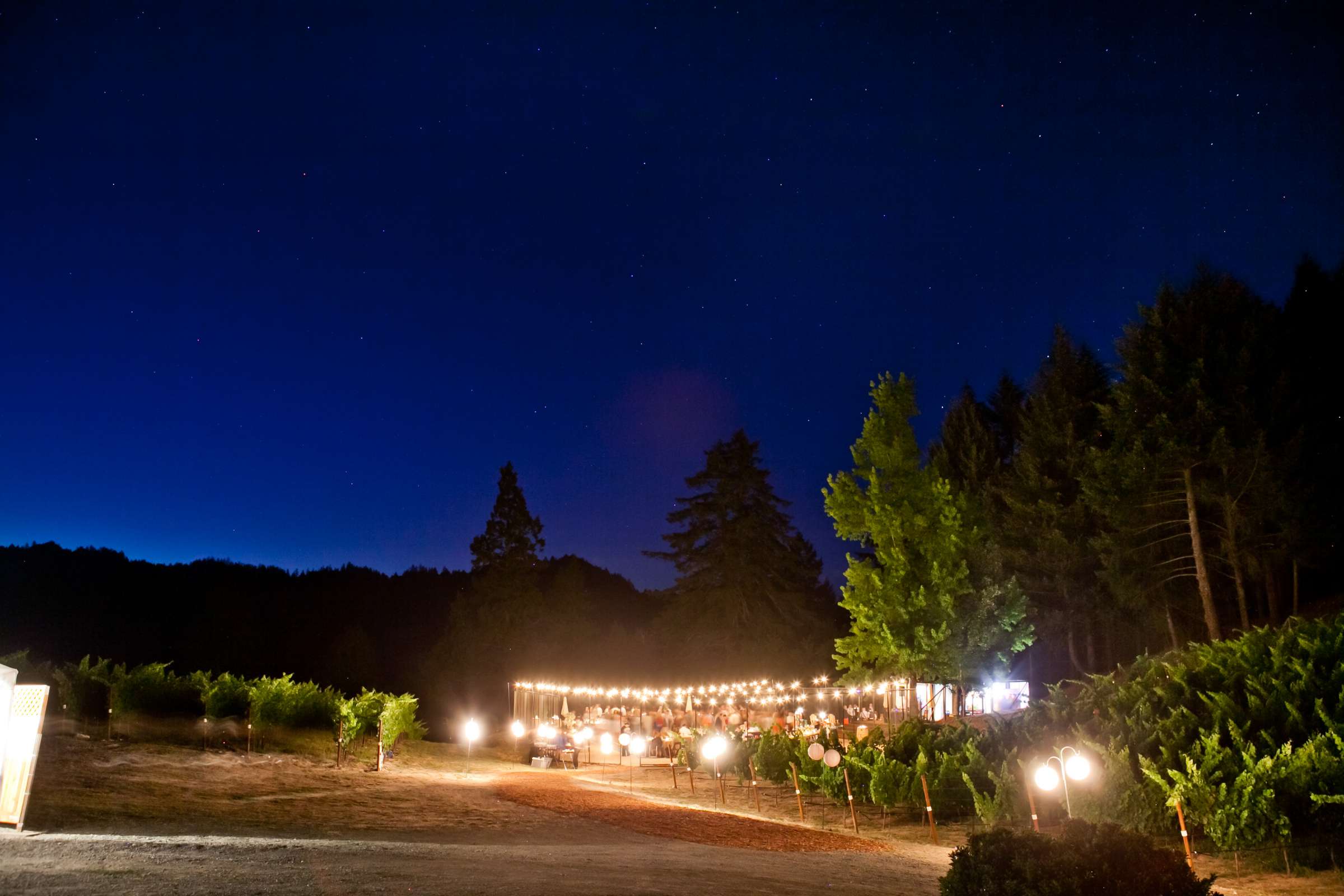 Yates Family Vineyard Wedding coordinated by Napa Valley Celebrations, Katie and Patrick Wedding Photo #356164 by True Photography