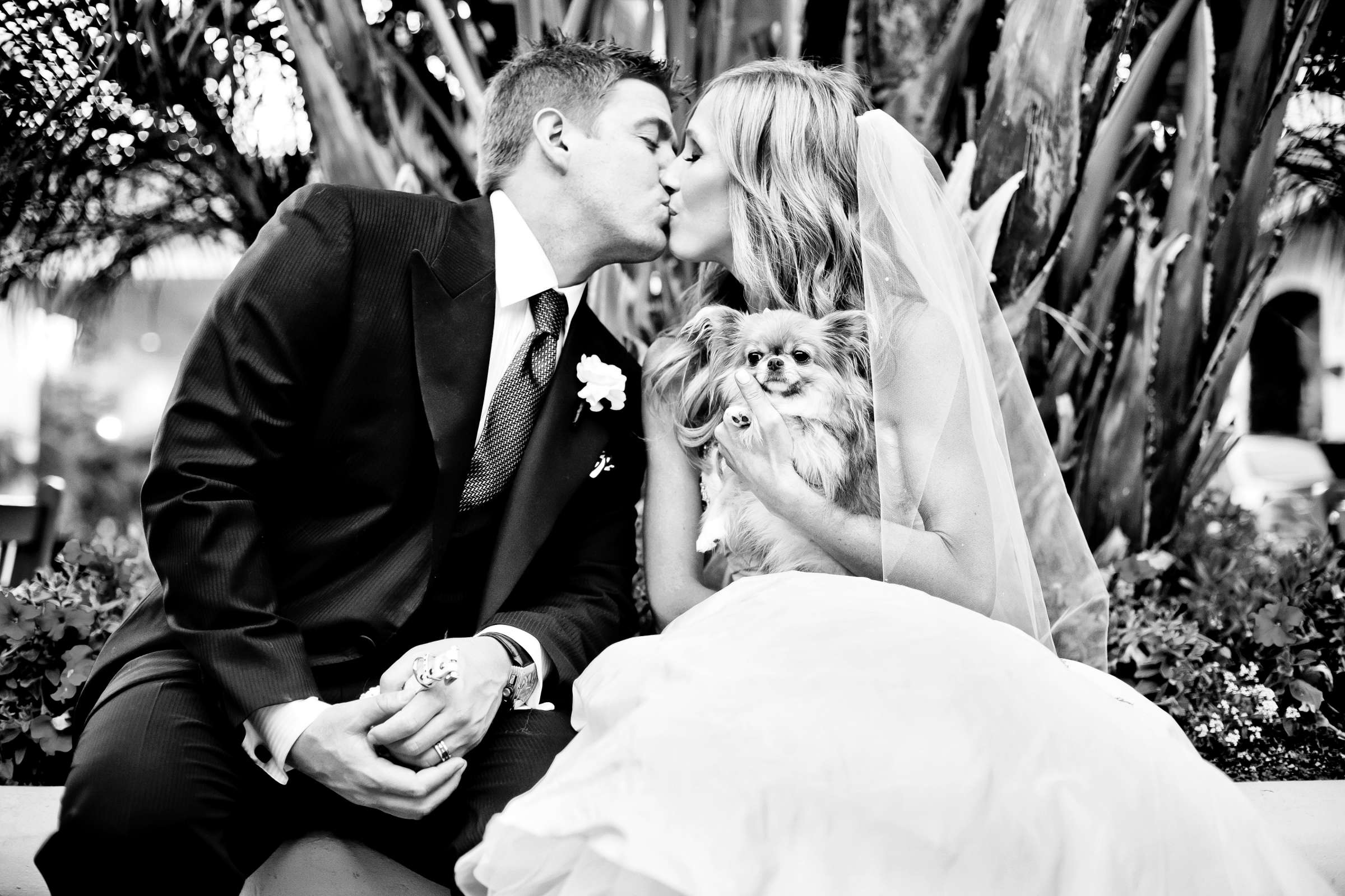 Park Hyatt Aviara Wedding coordinated by Crown Weddings, Ashley and Tyler Wedding Photo #357565 by True Photography