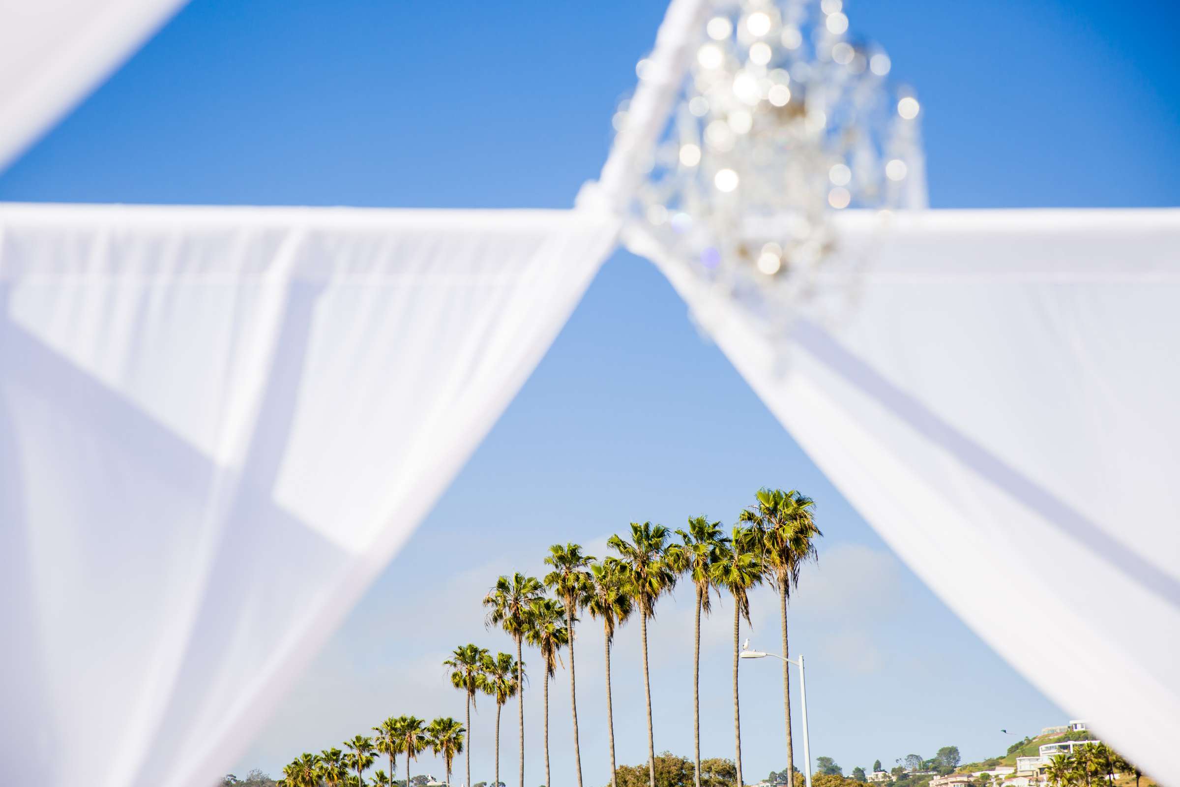 La Jolla Shores Hotel Wedding, Mia and Ethan Wedding Photo #141 by True Photography