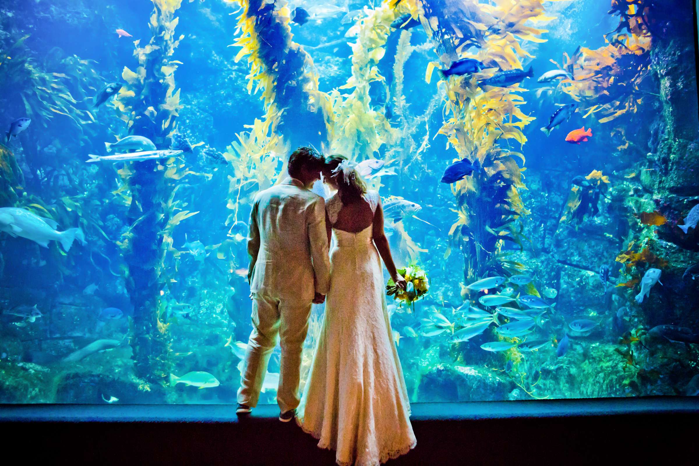 Birch Aquarium at Scripps Wedding coordinated by Amorology Weddings, Erica and Nick Wedding Photo #359989 by True Photography